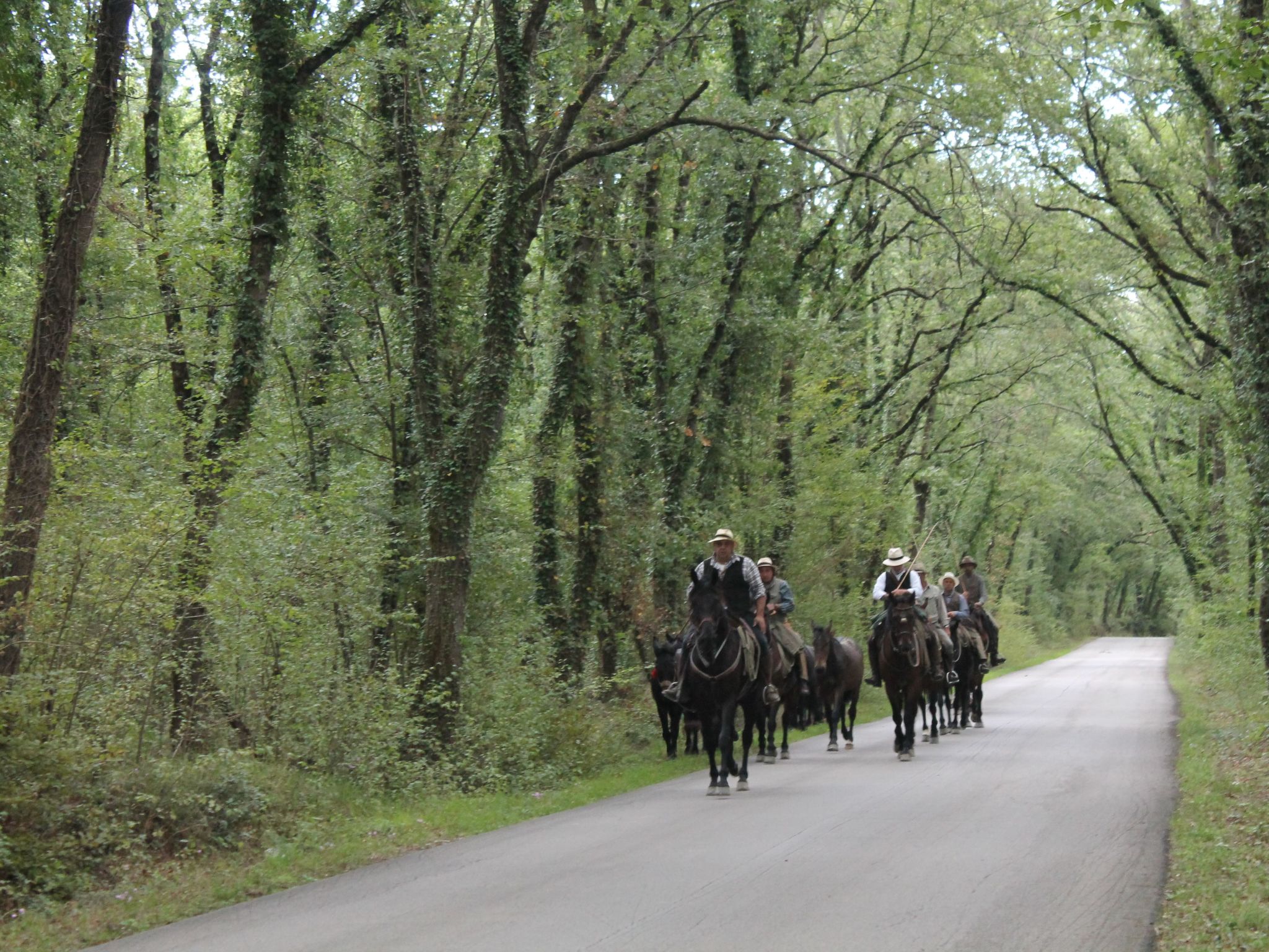 Haus in Civitella Paganico mit möbliertem Garten
