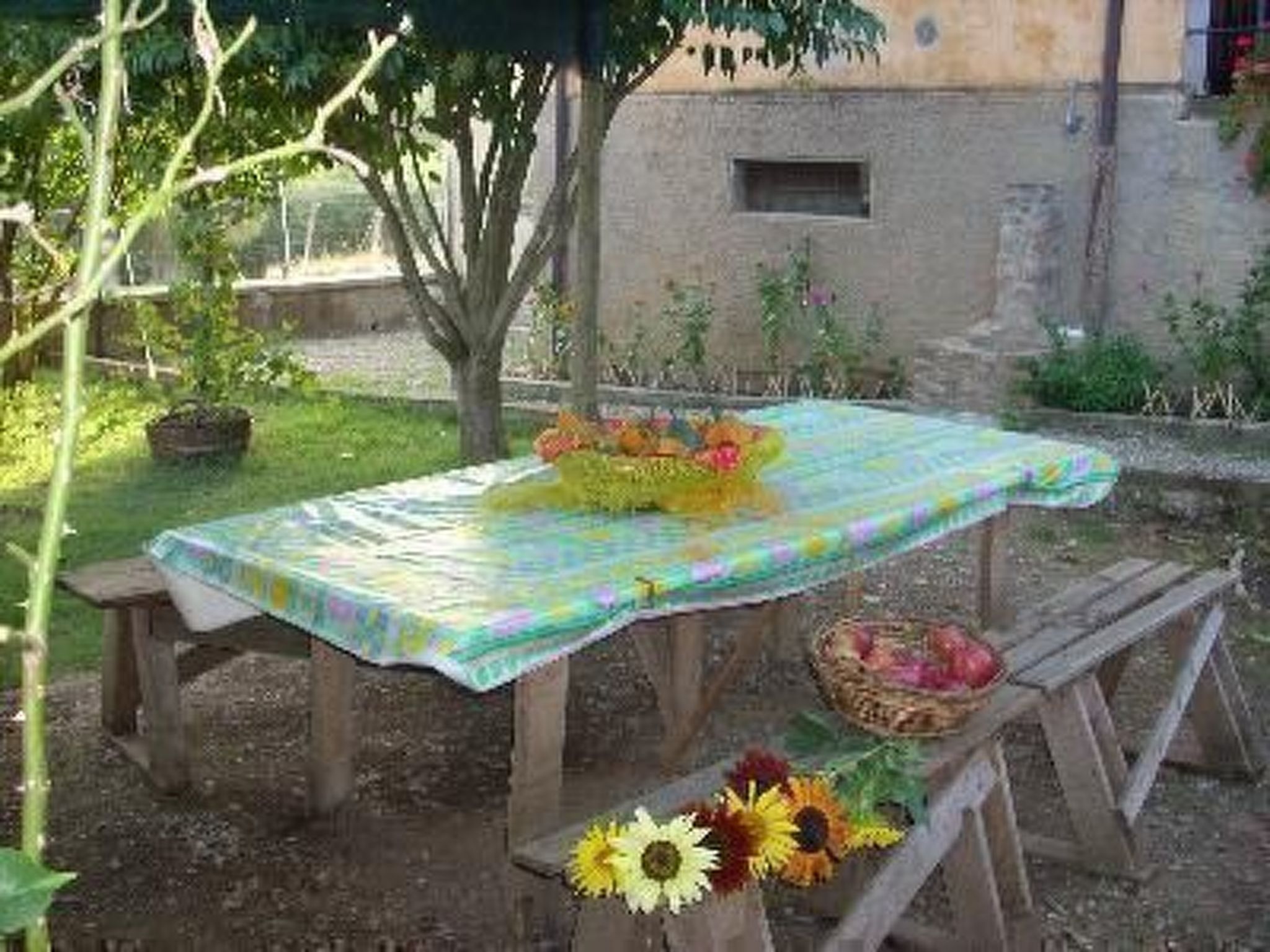 Das Landgut "Casina del Nespolo".-Binnen