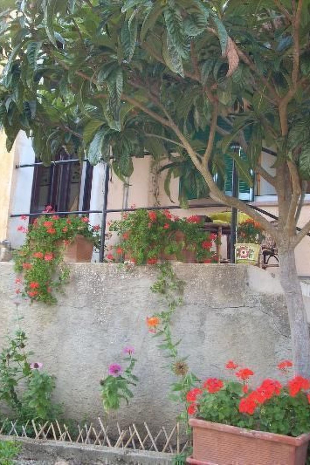 Das Landgut "Casina del Nespolo".-Binnen