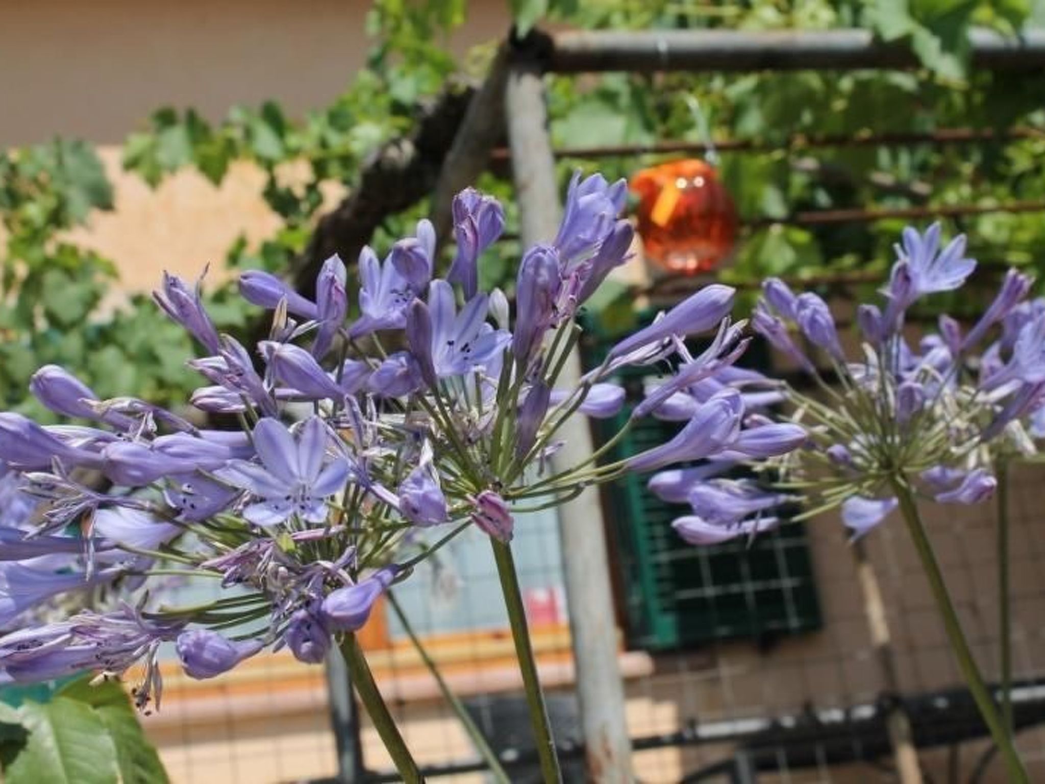 Das Landgut "Casina della Sughera".-Binnen