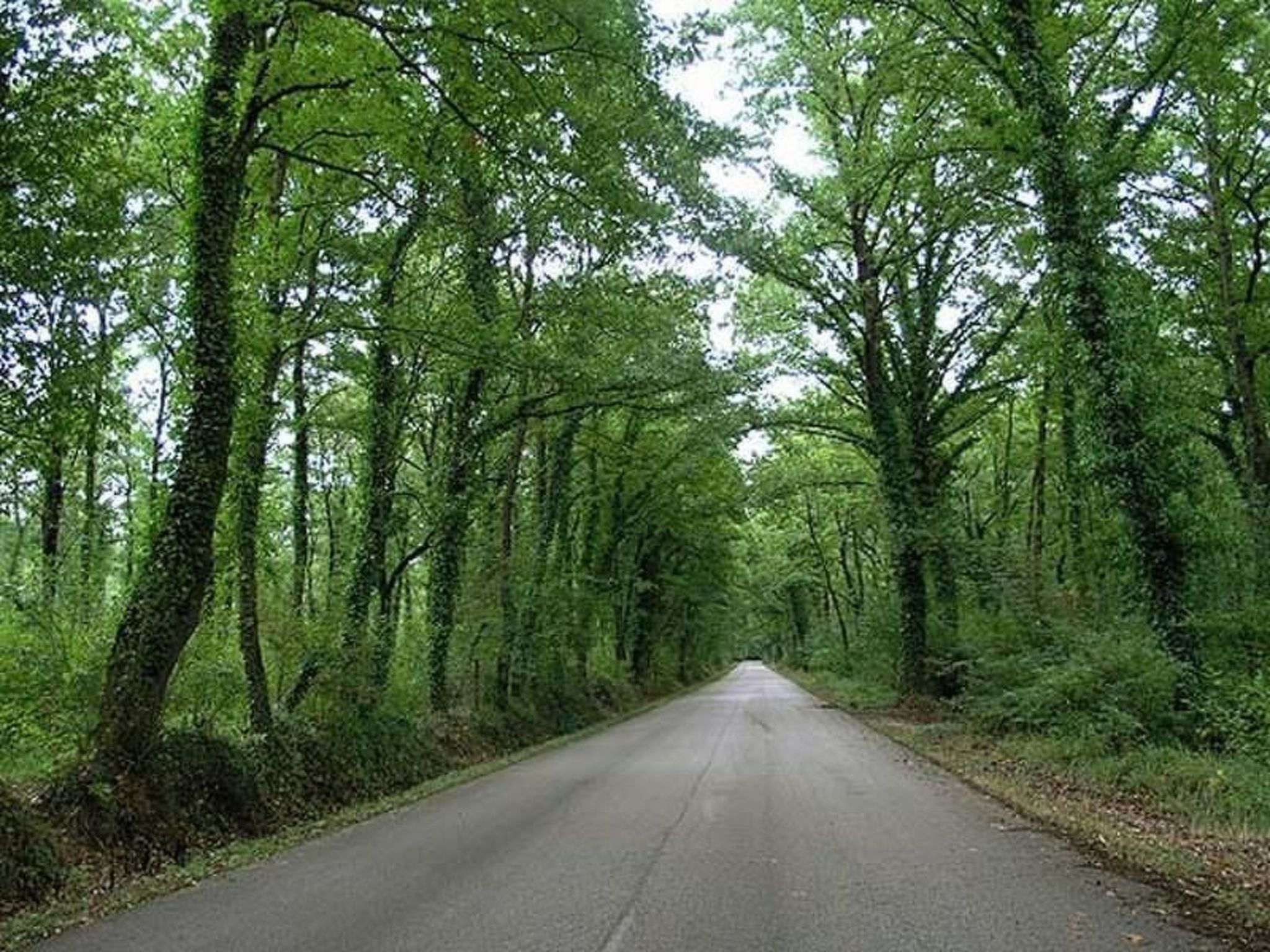 Das Landgut "Casina della Sughera".-Binnen