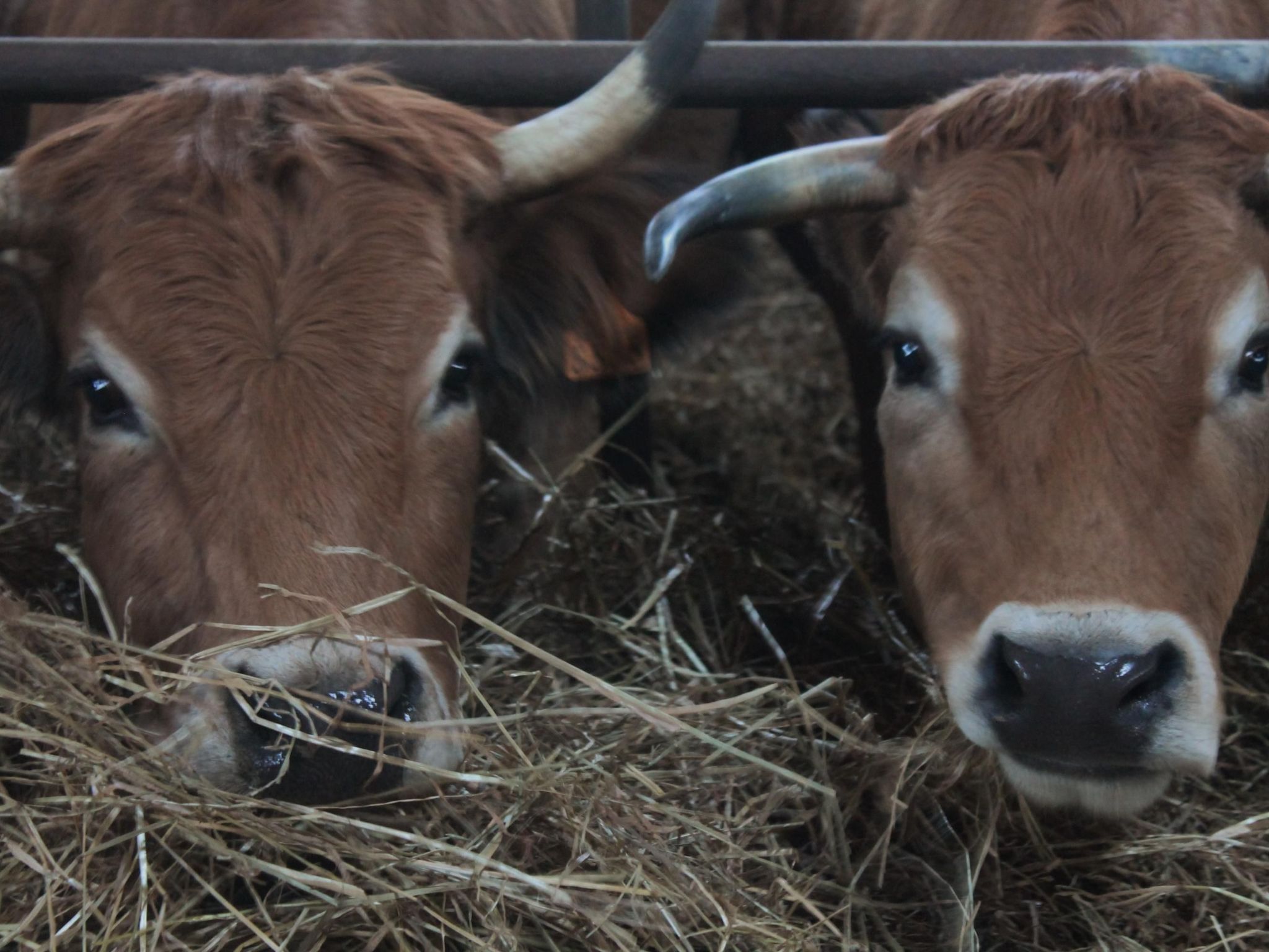 Das Landgut "Casina della Sughera".