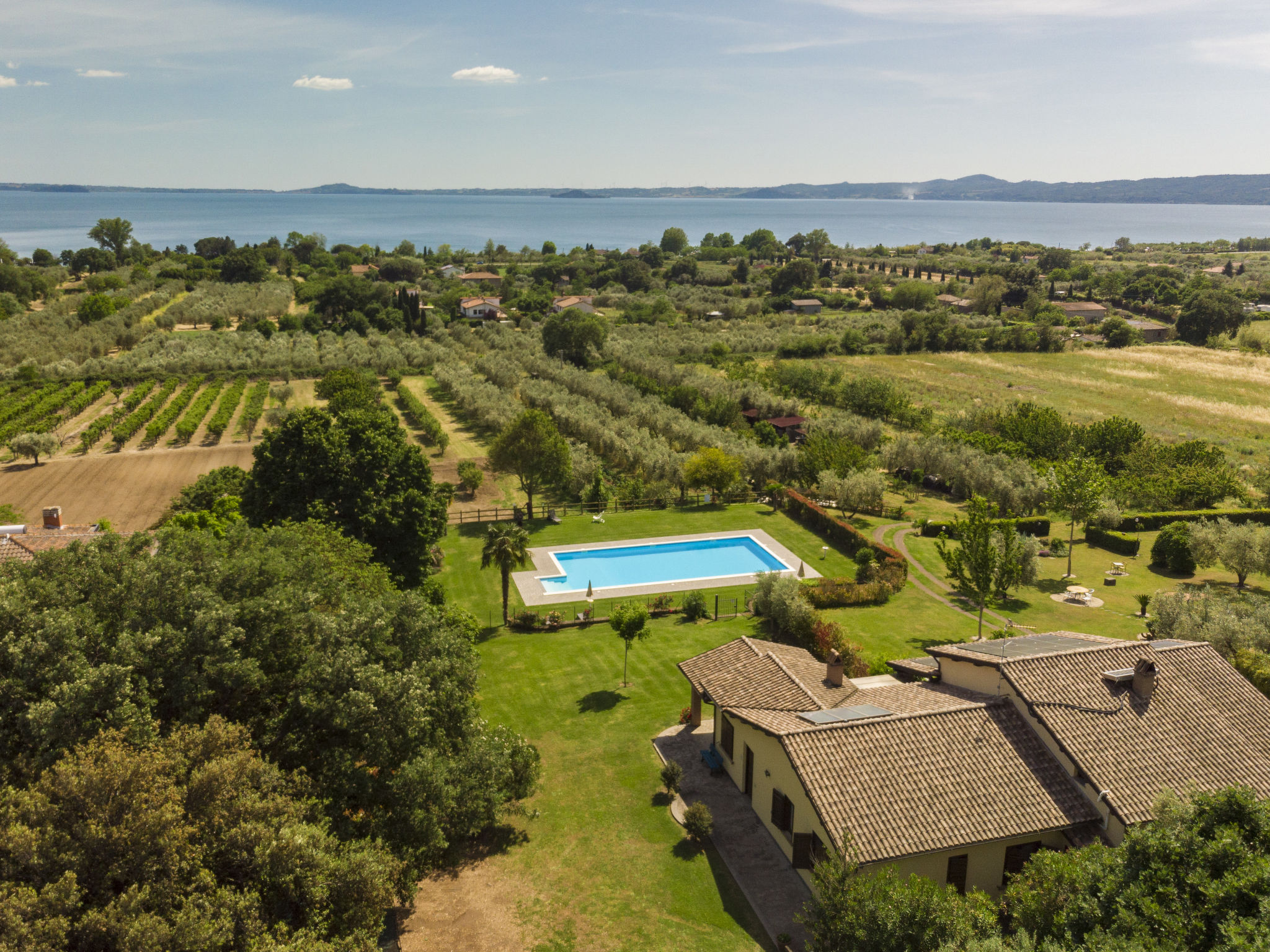 Rosa Alba - Buiten