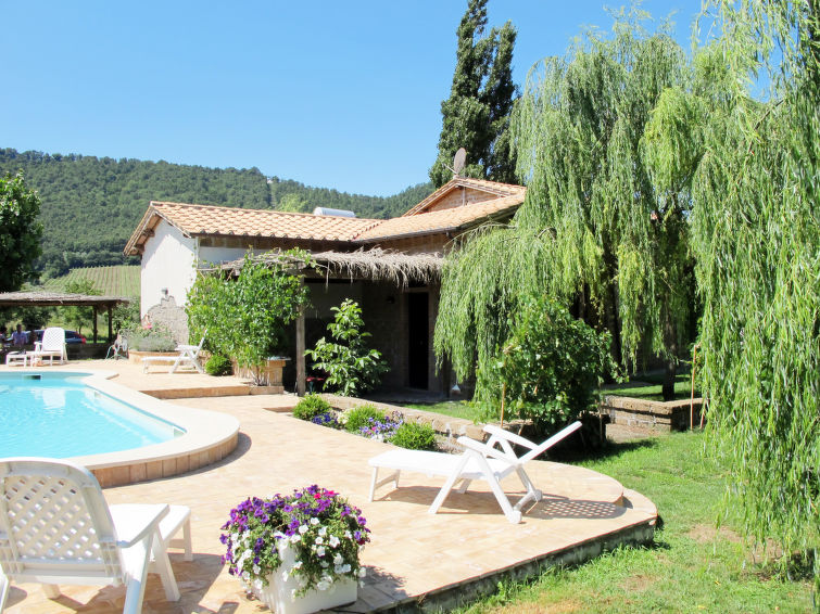 Pool Outdoor