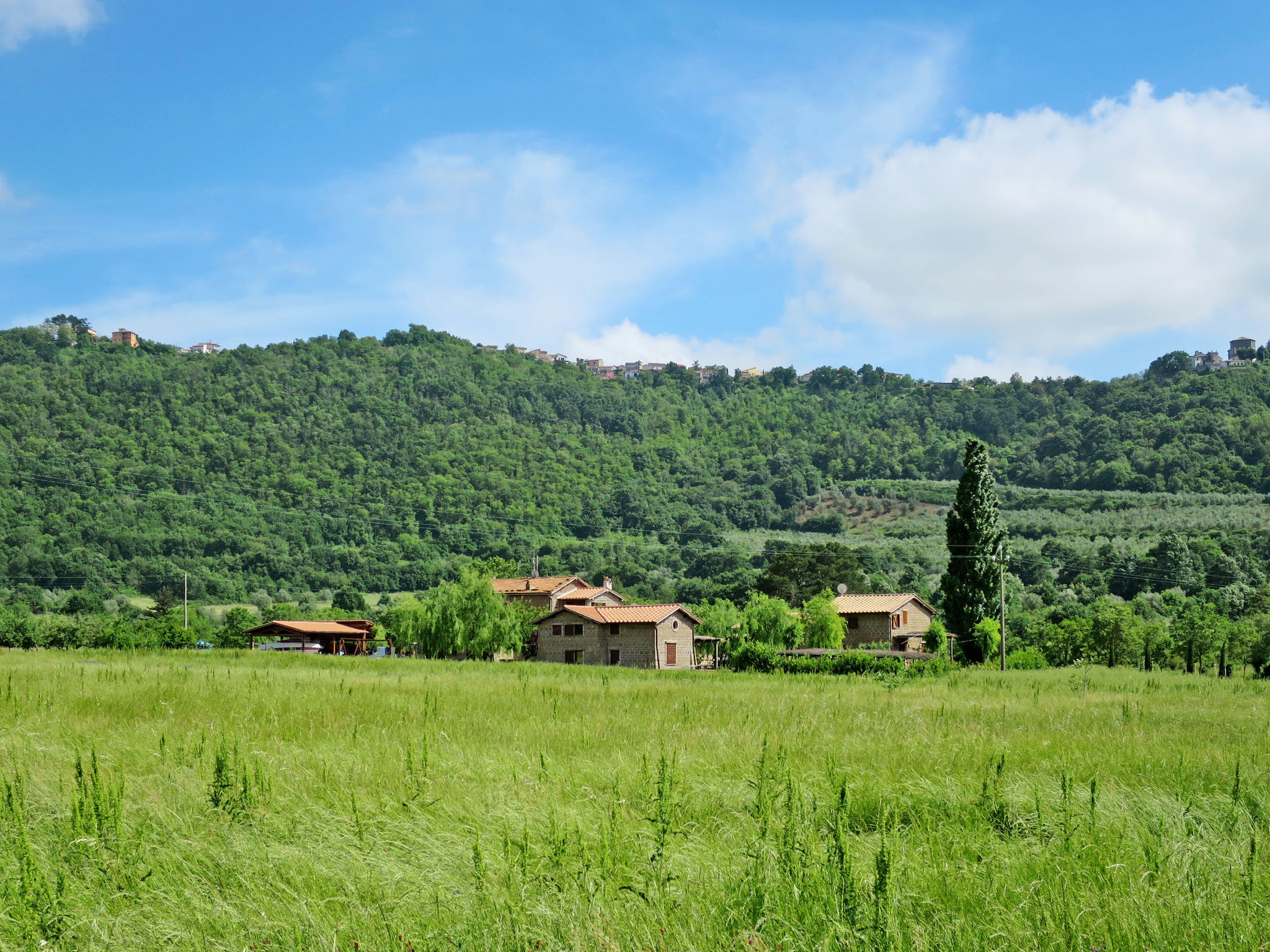 Podere La Cavallara-Draußen
