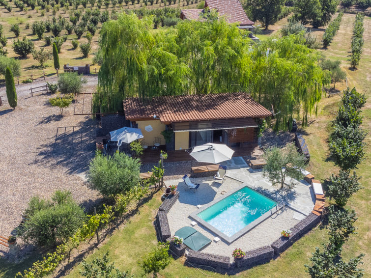 Vrijstaand chalet Il Vitigno met privézwembad aan Lago di Vico in Lago di Vico