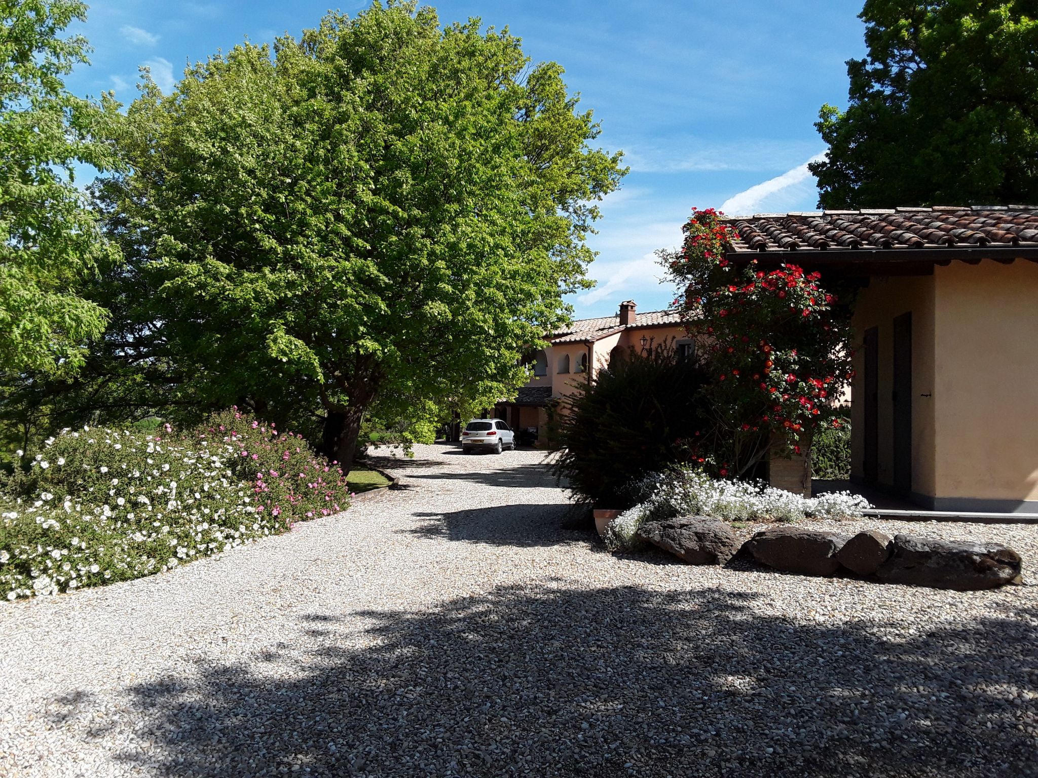 LaPorcilaia, Ferienwohnung mit Seeblick. - Dehors