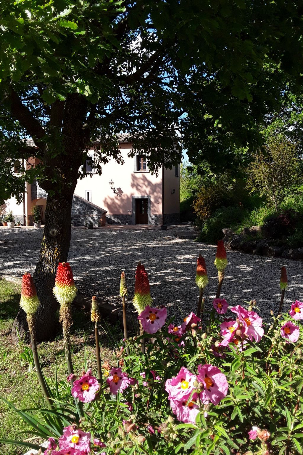 LaPorcilaia, Ferienwohnung mit Seeblick. - Dehors