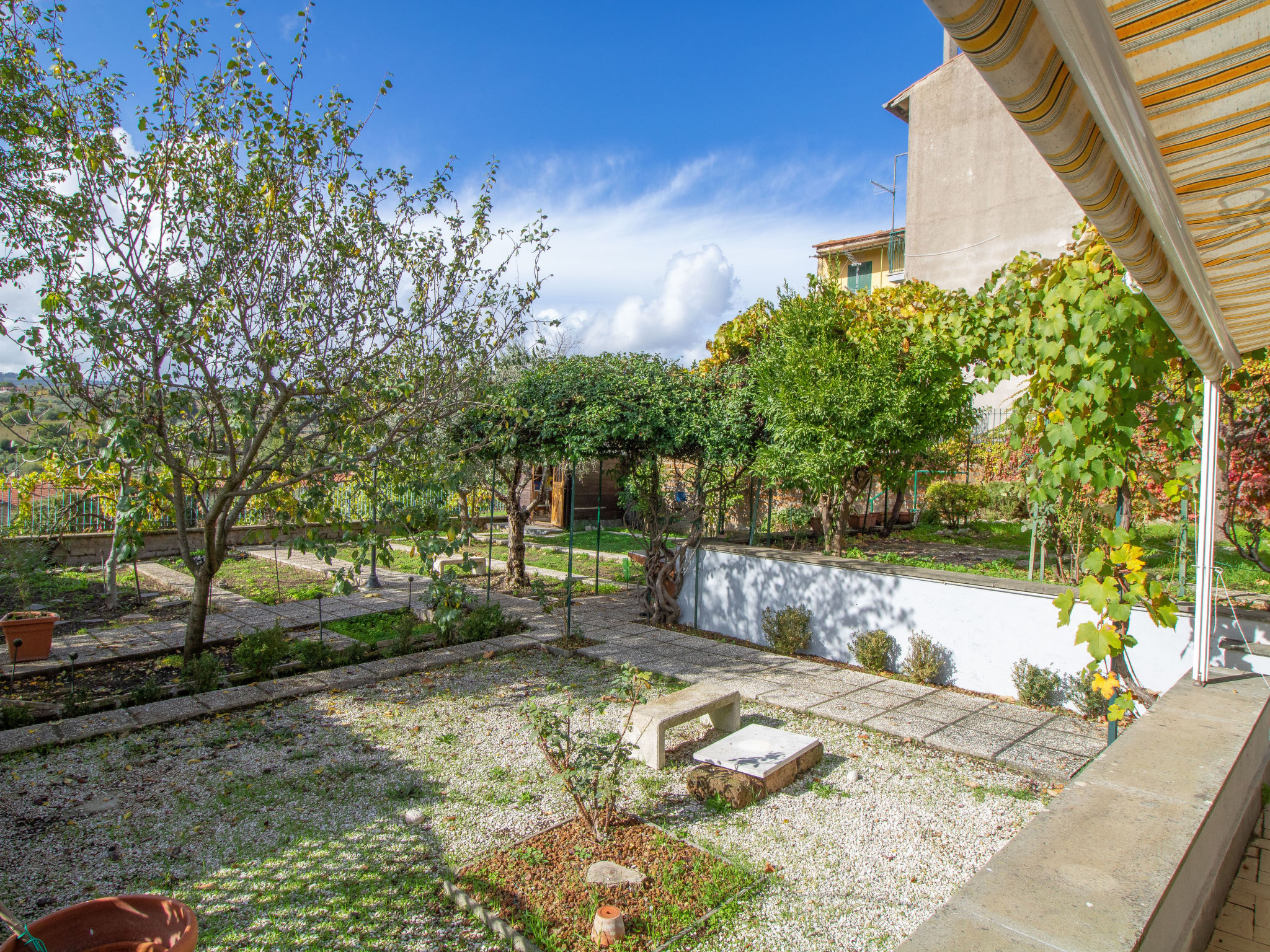 Kiwi e L'uva - Tuscia - Image 4