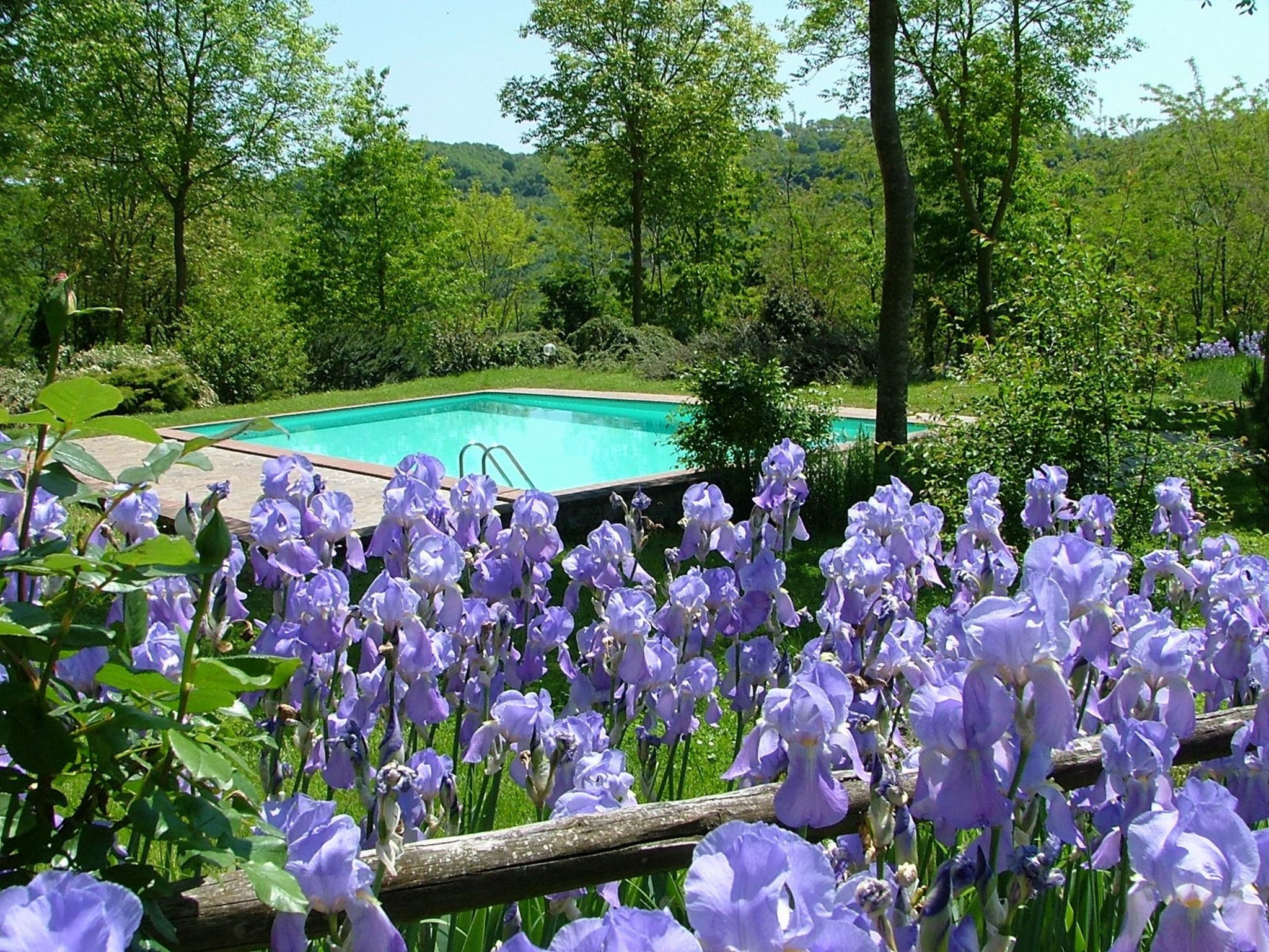 Schöne Unterkunft in einem Schloss, mit Schwimmbad - Image 2