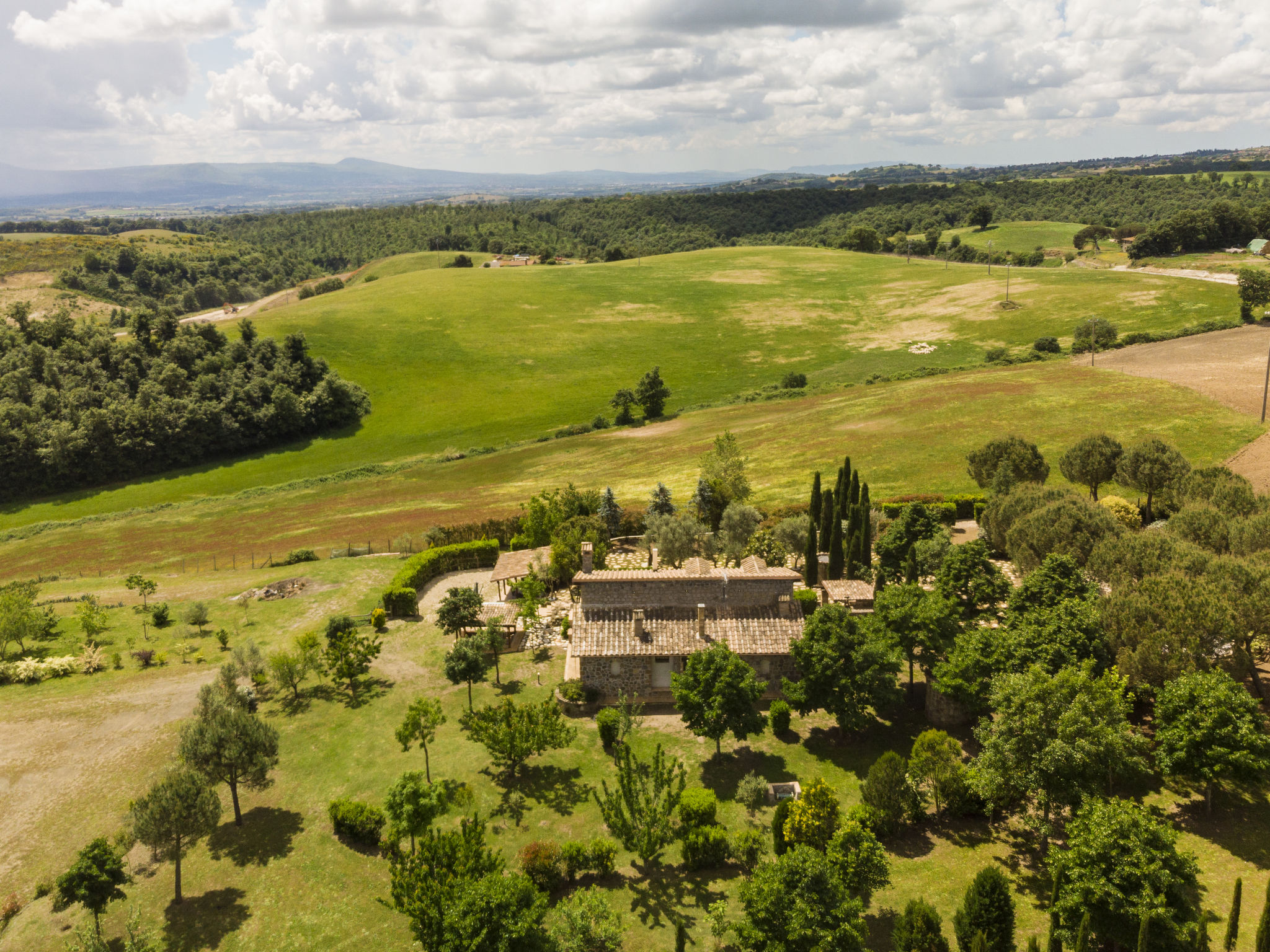 LA RICCA VIOLA - Buiten