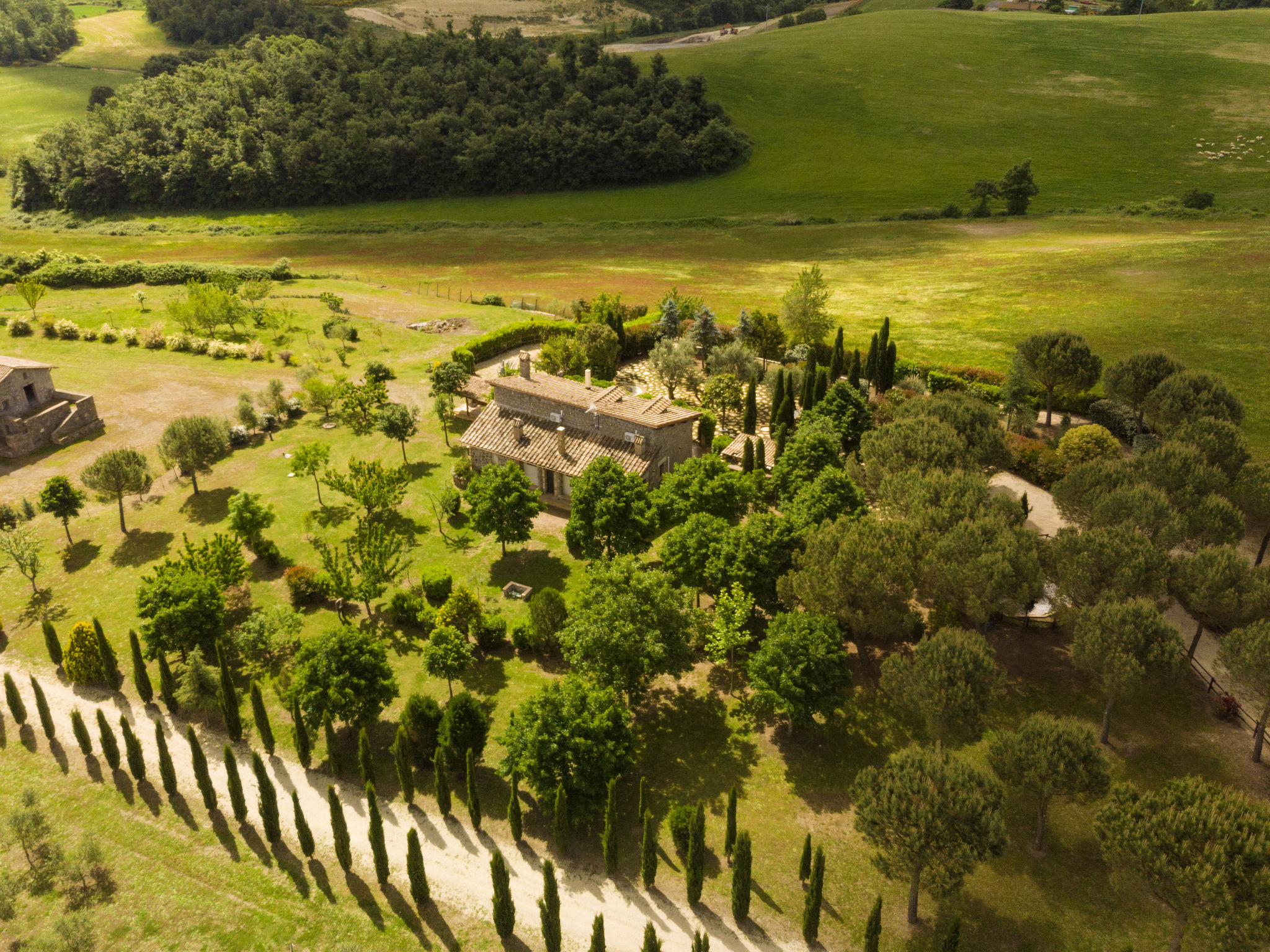 LA RICCA VIOLA - Buiten