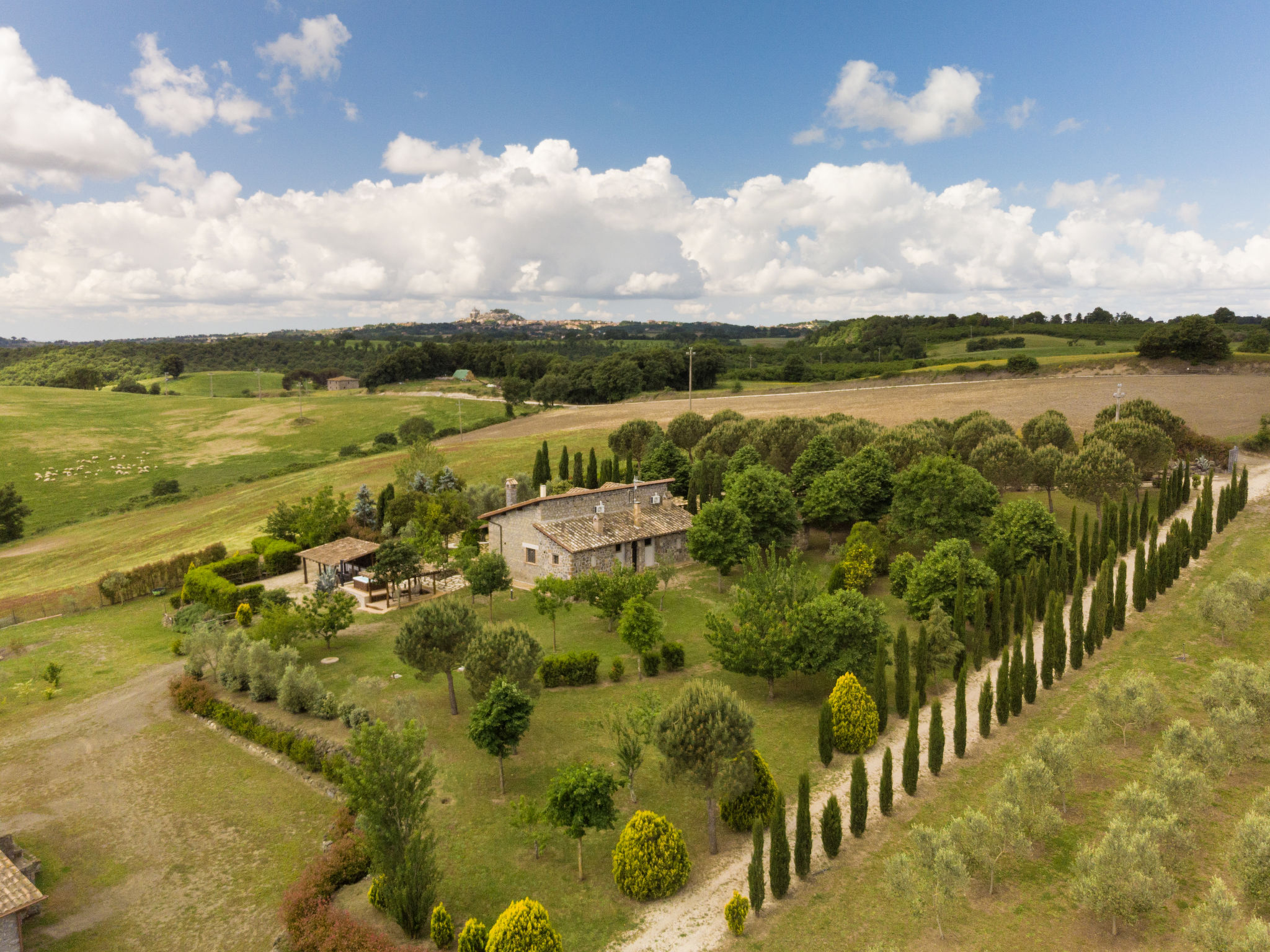 LA RICCA VIOLA - Buiten