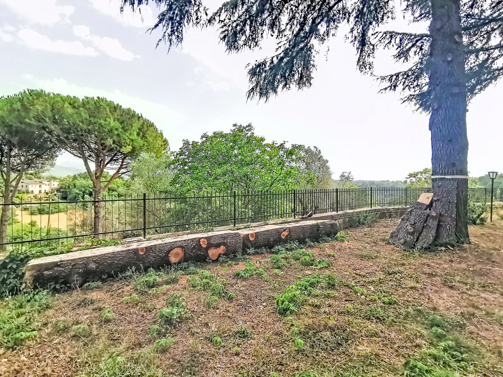 La Casa dei Cedri - Outside