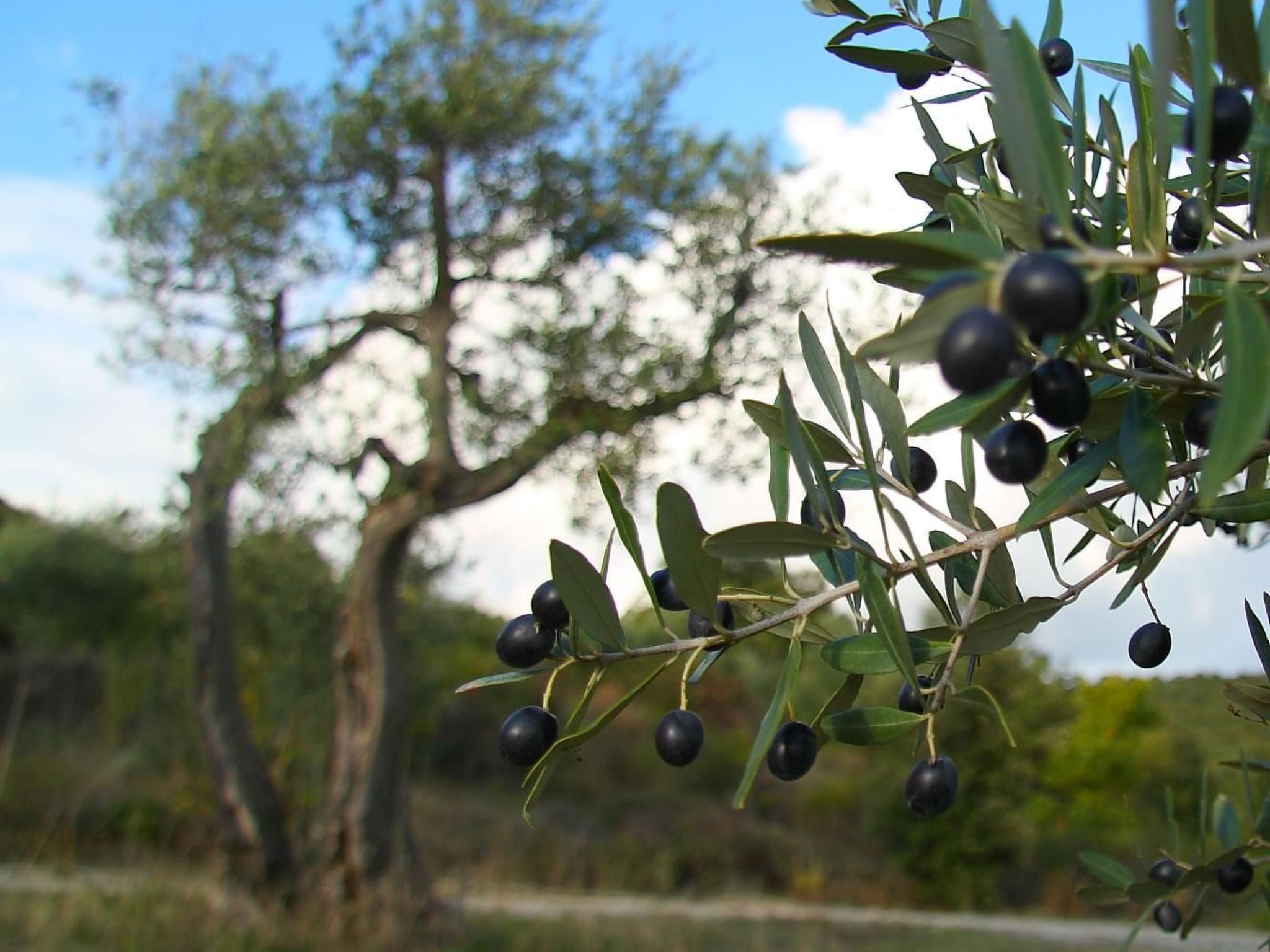 Gemütliches Studio im Erdgeschoss, mit Terrasse-Binnen