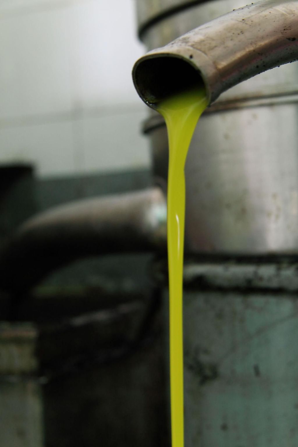 Gemütliches Studio im Erdgeschoss, mit Terrasse-Binnen