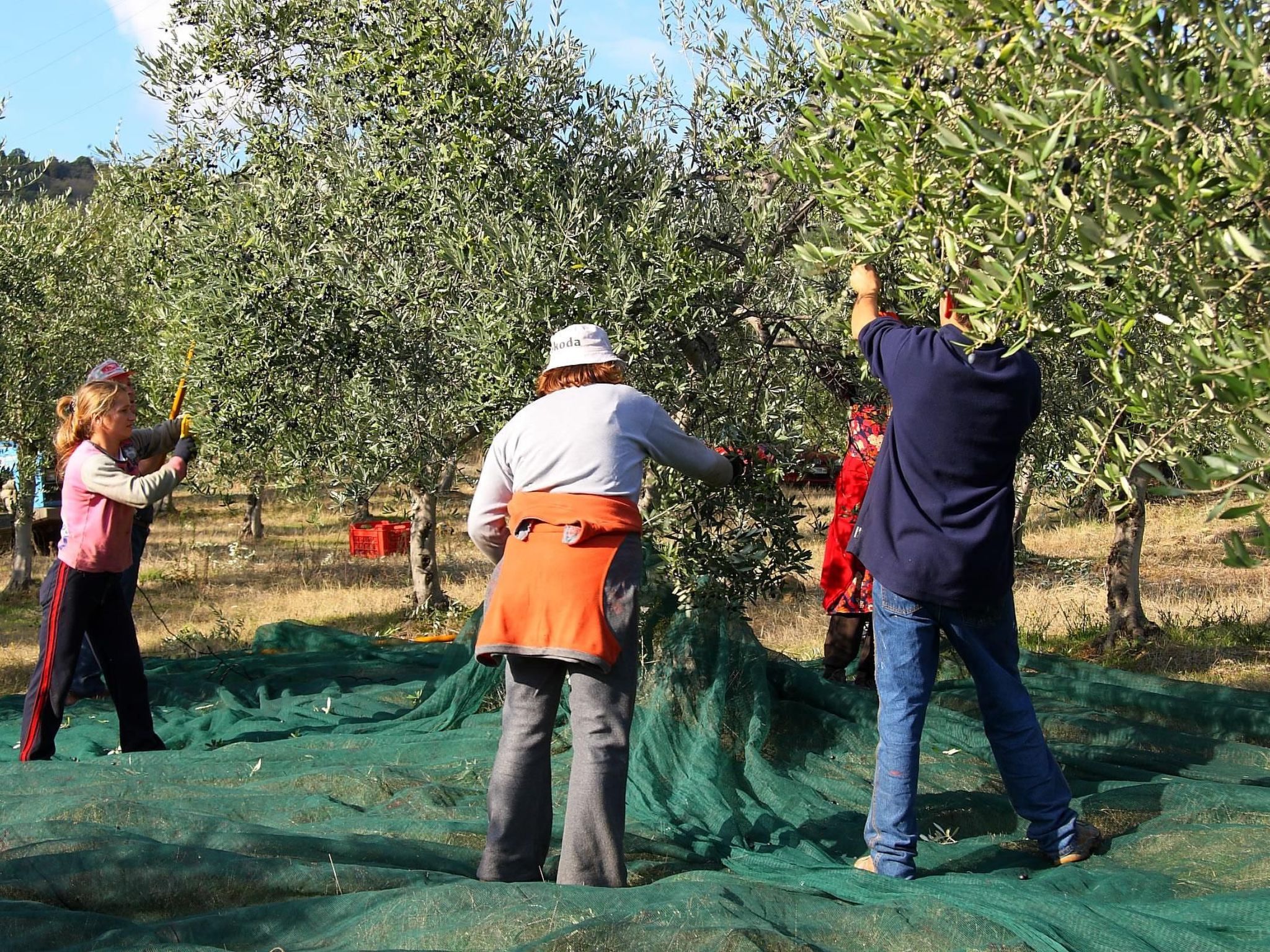 Gemütliches Studio im Erdgeschoss, mit Terrasse-Binnen