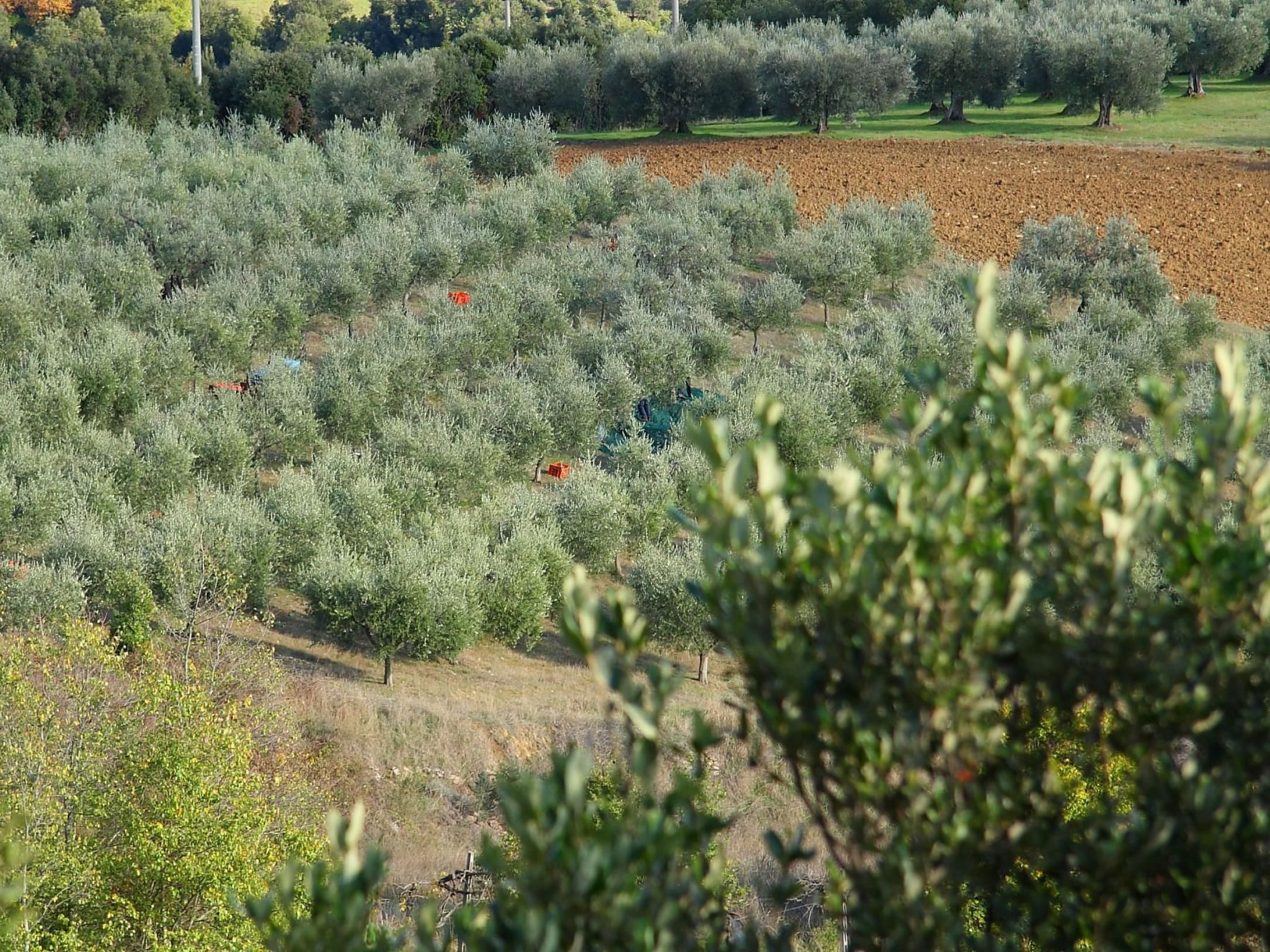 Gemütliches Studio im Erdgeschoss, mit Terrasse-Binnen