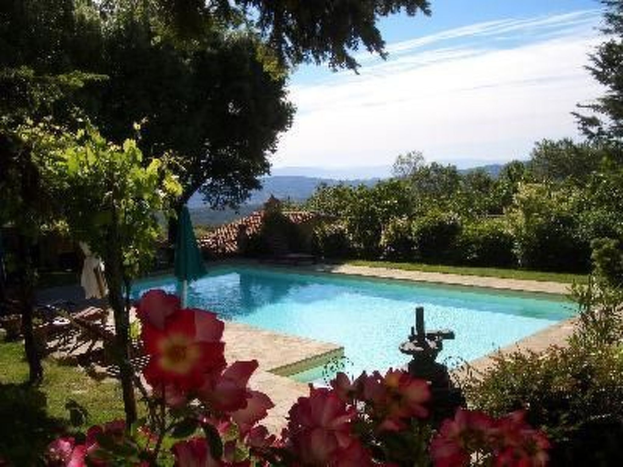 GLICINE-Image-tags.info