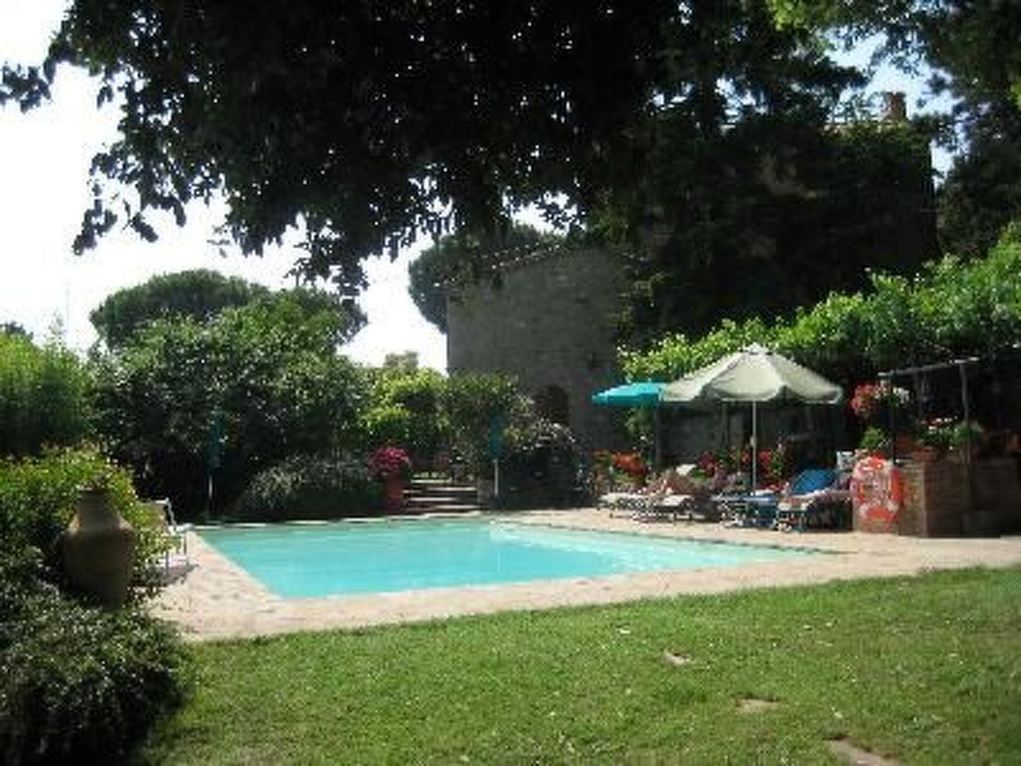 GLICINE-Image-tags.info