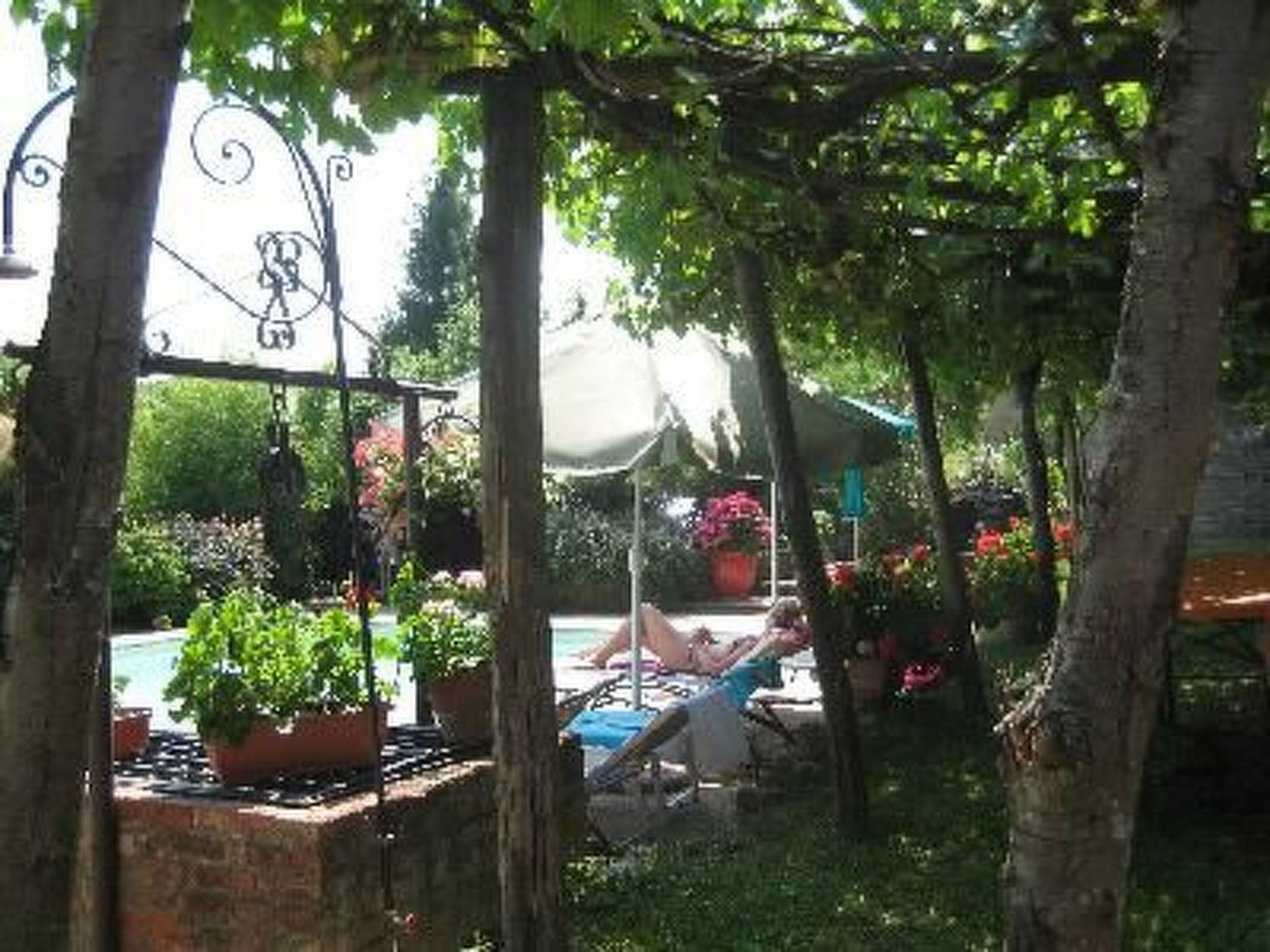 GLICINE-Image-tags.info