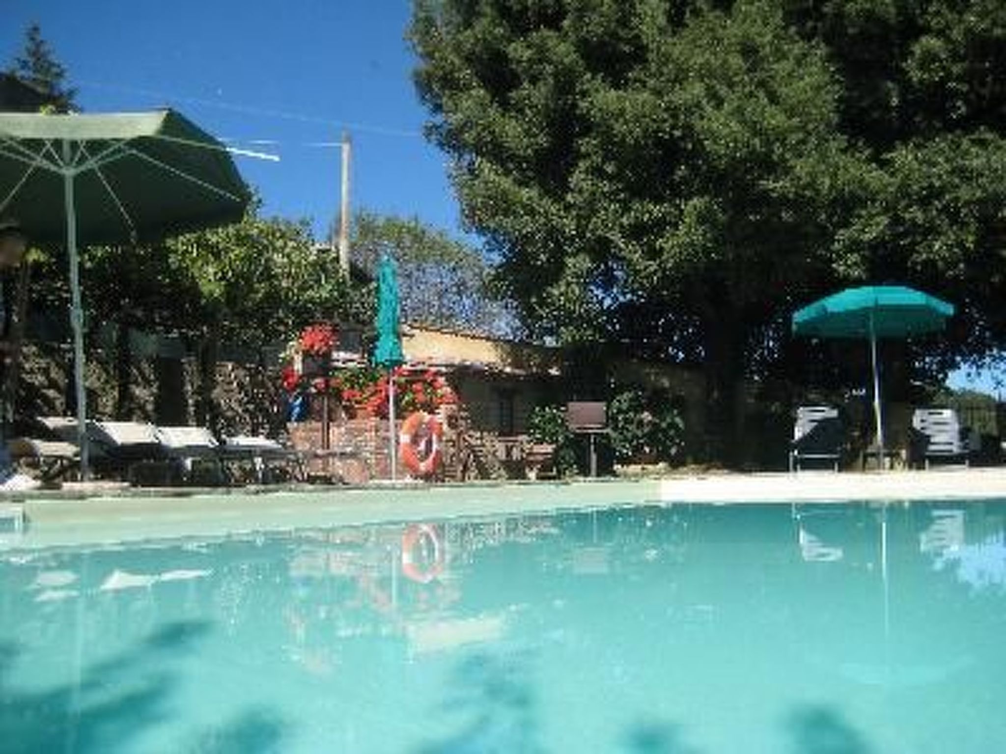 GLICINE-Image-tags.info