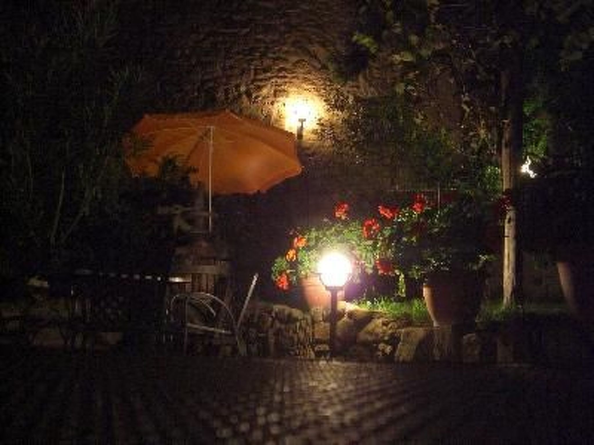 GLICINE-Image-tags.info