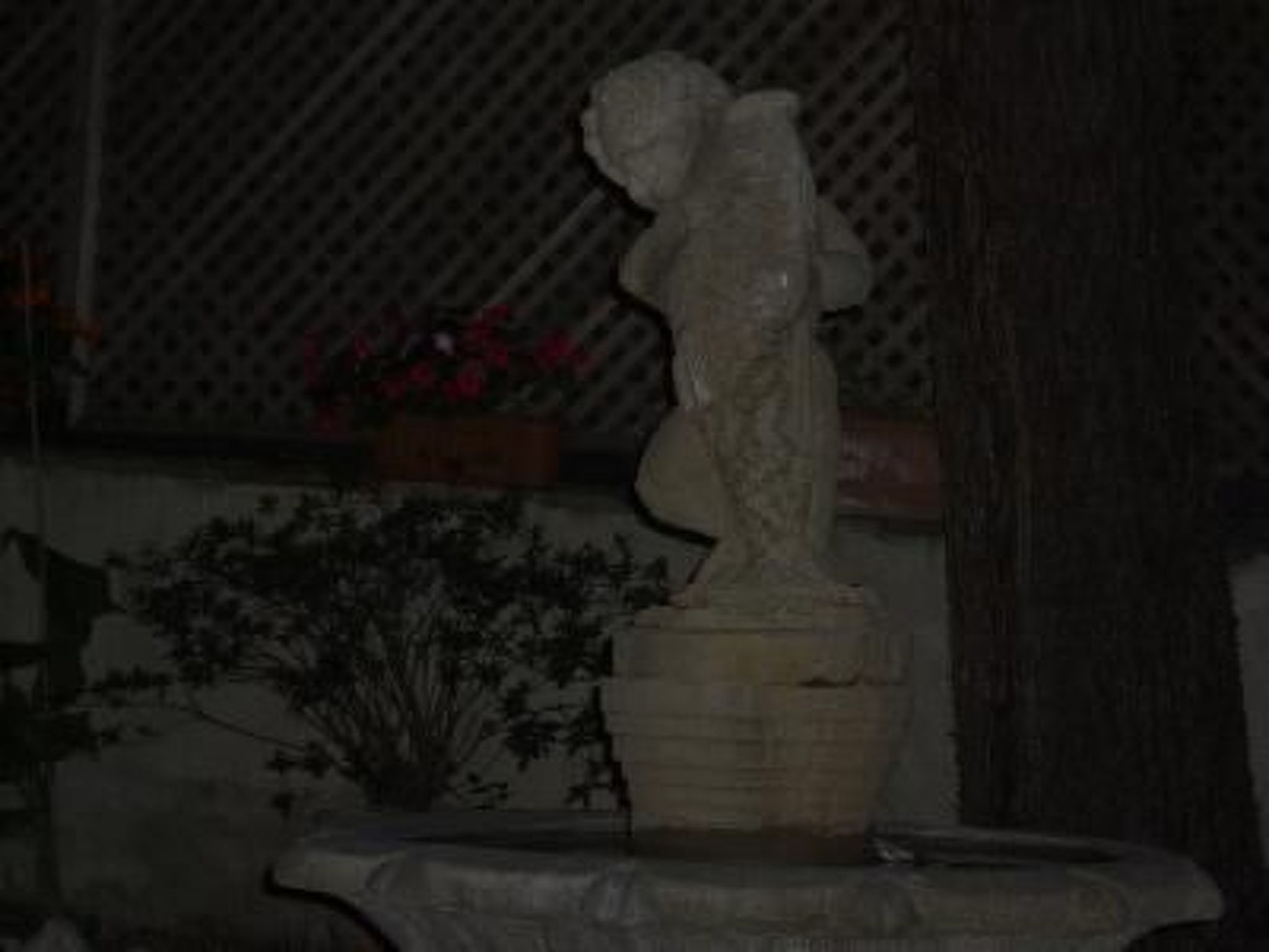 GLICINE-Image-tags.info