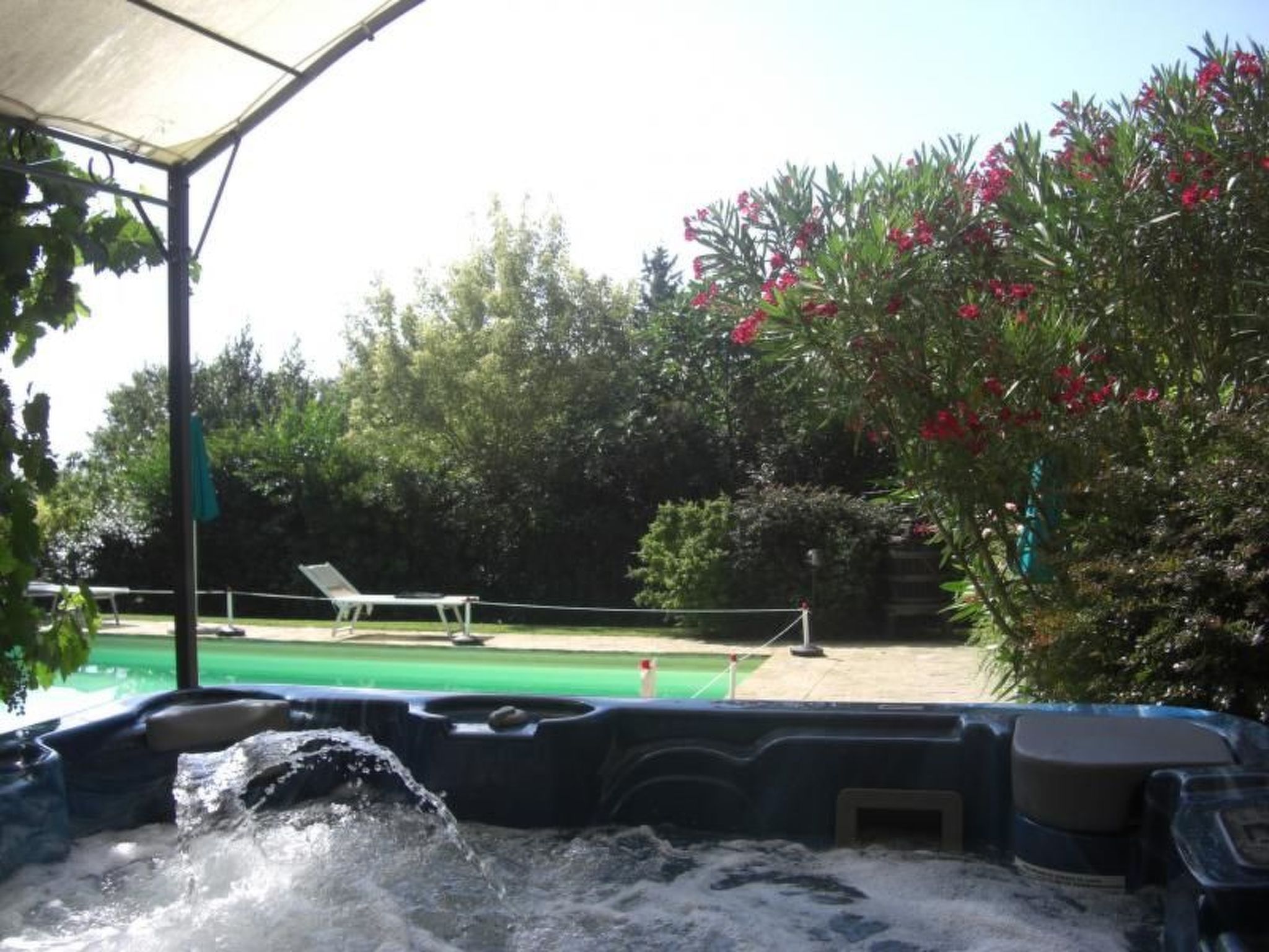 GLICINE-Image-tags.info