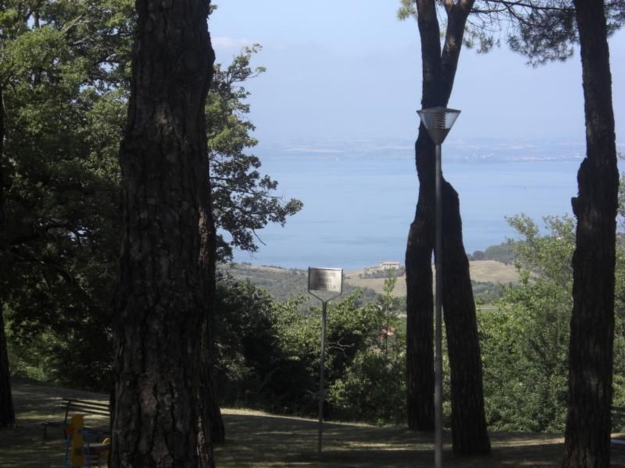 GLICINE-Image-tags.info