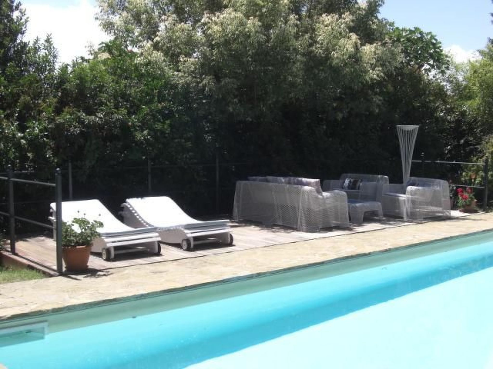 GLICINE-Image-tags.info