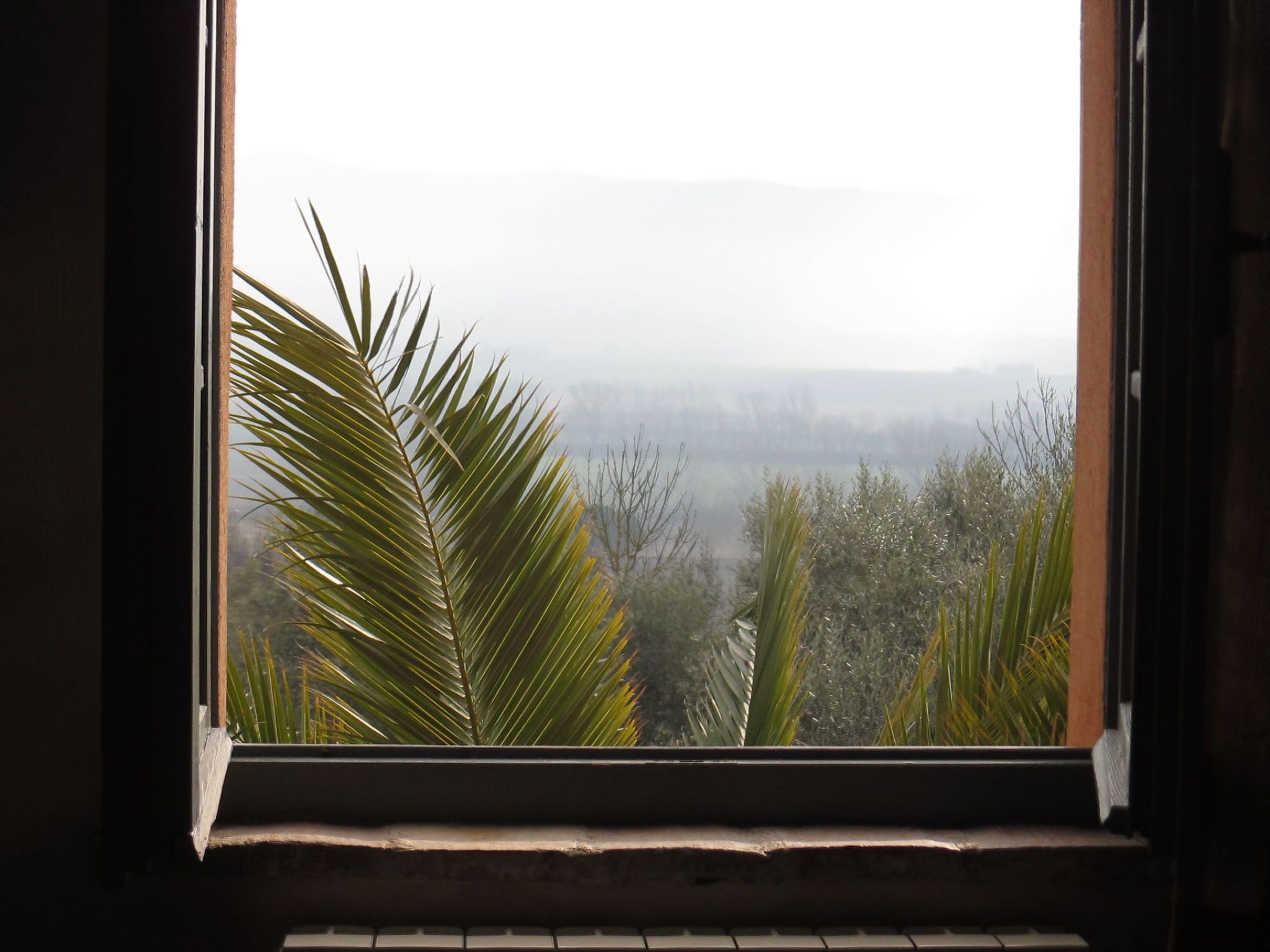 Appartement in Castiglione Del Lago mit Grill, Terrasse und gemeinsamem Pool-Binnen