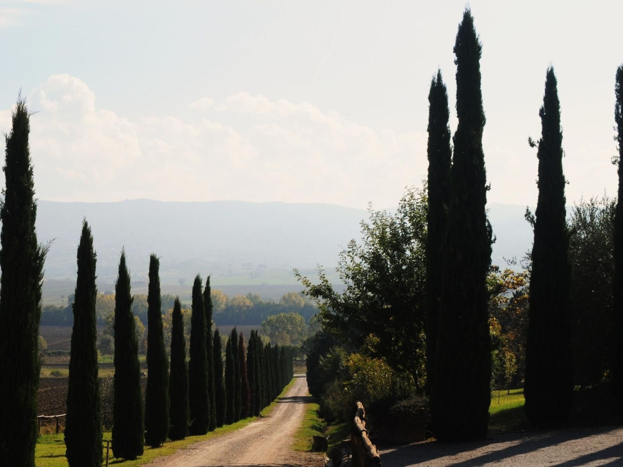 In Castiglione Del Lago mit Garten, Grill und Terrasse-Binnen