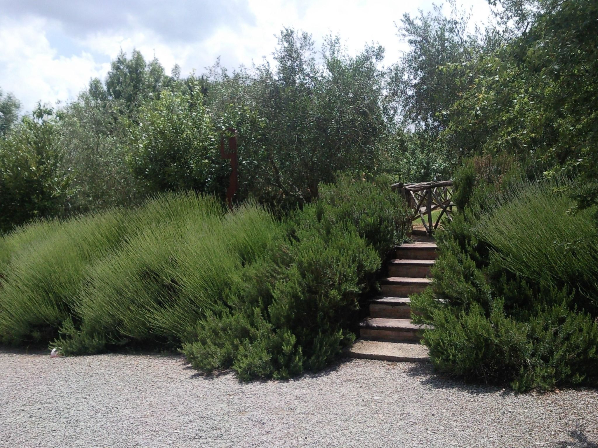 In Castiglione Del Lago mit Garten, Grill und Terrasse-Binnen