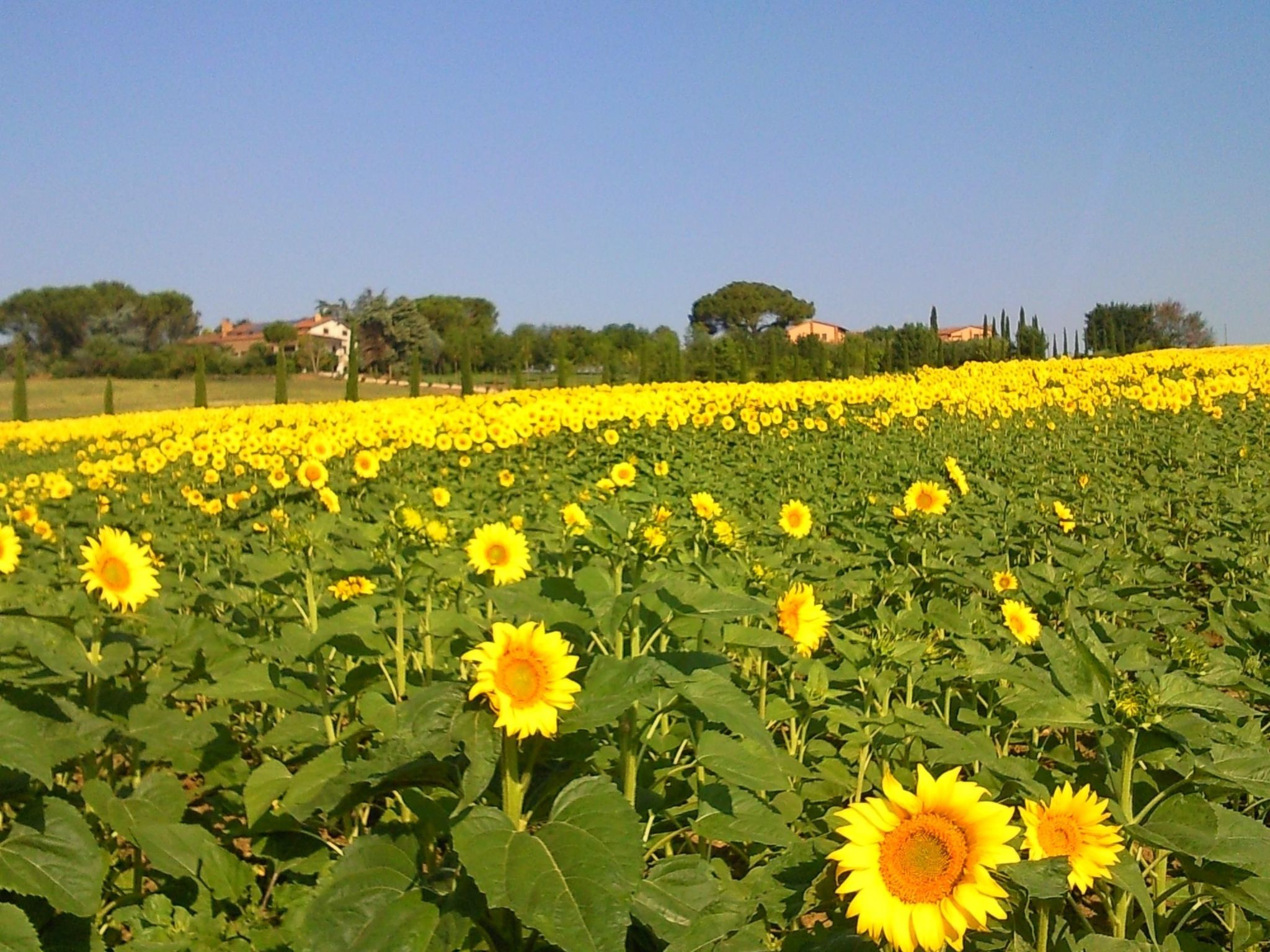 In Castiglione Del Lago mit Garten, Grill und Terrasse