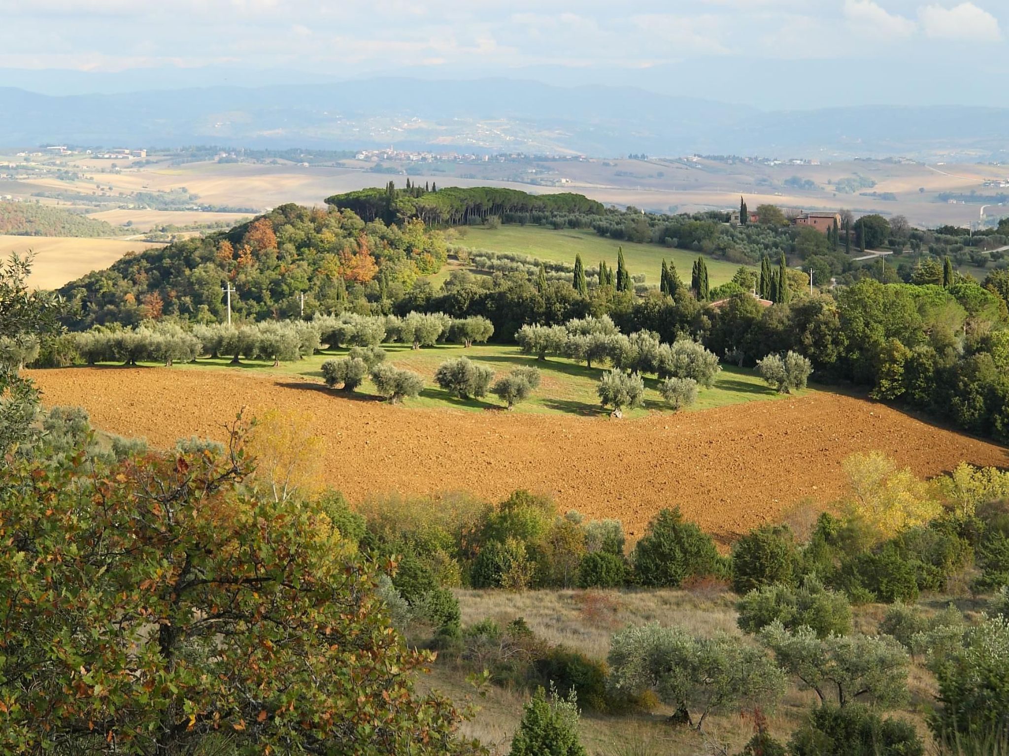 Wohnung Sonnenaufgang in Monte Vibiano Vecchio-Binnen