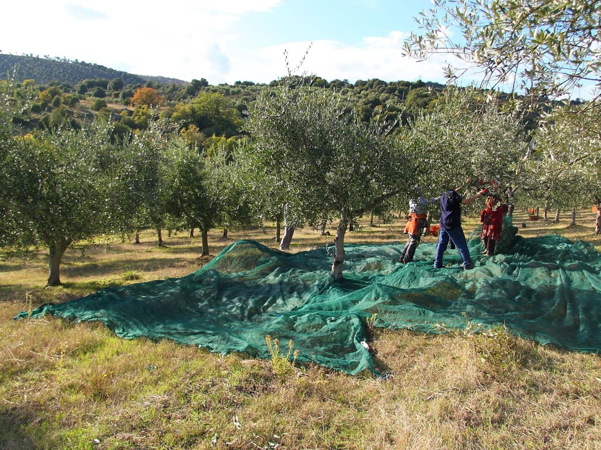 Wohnung Sonnenaufgang in Monte Vibiano Vecchio-Binnen