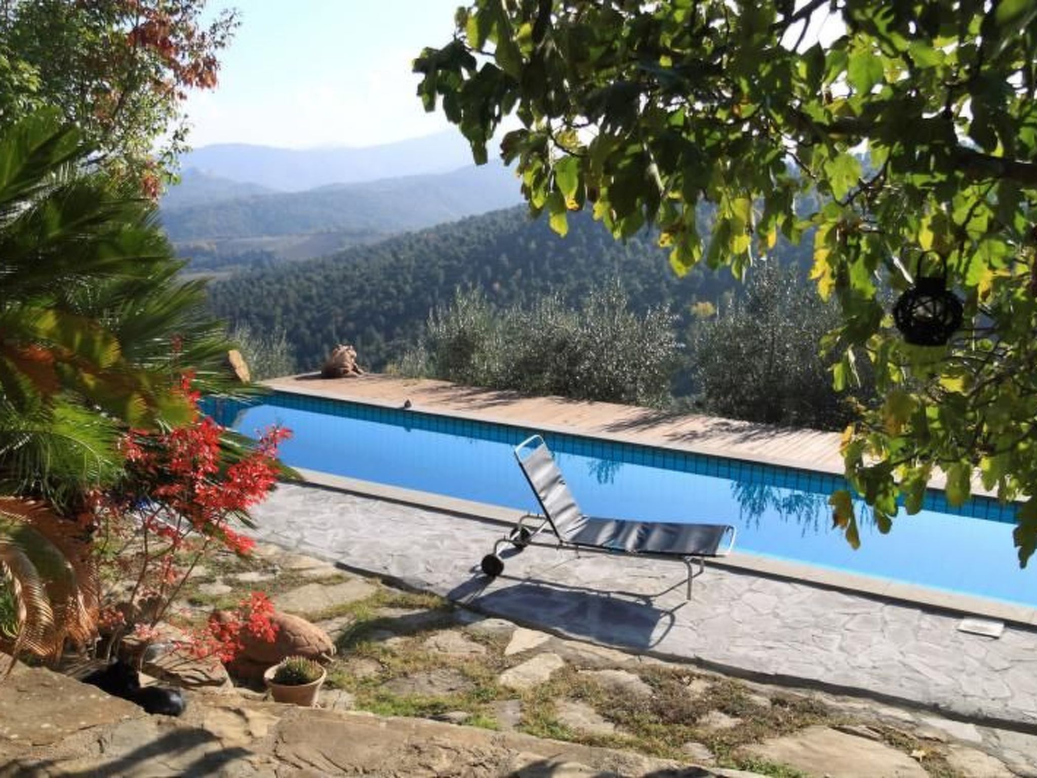 Studio mit Balkonblick ins bergige Grüne-Binnen