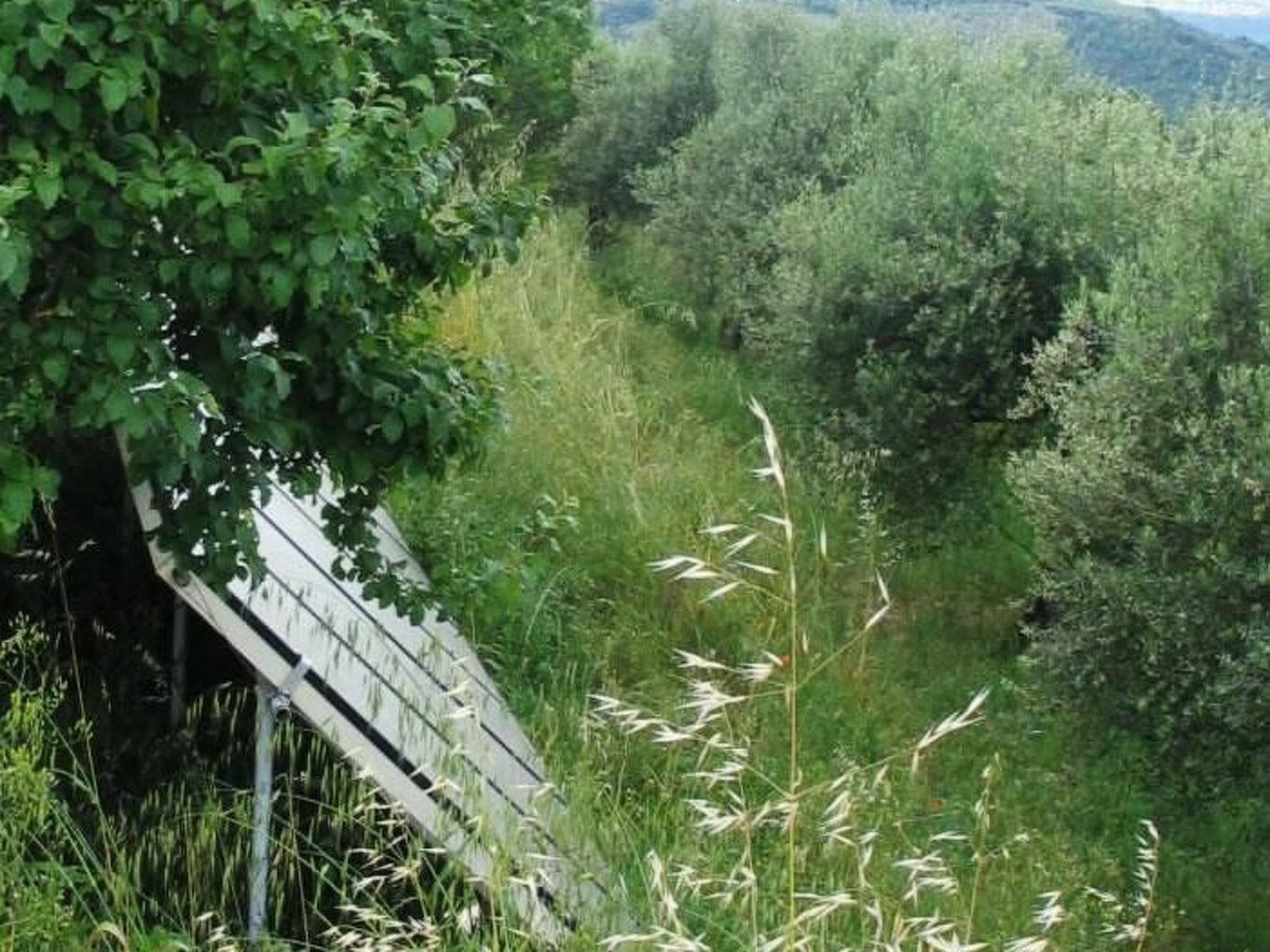 Studio mit Balkonblick ins bergige Grüne-Binnen