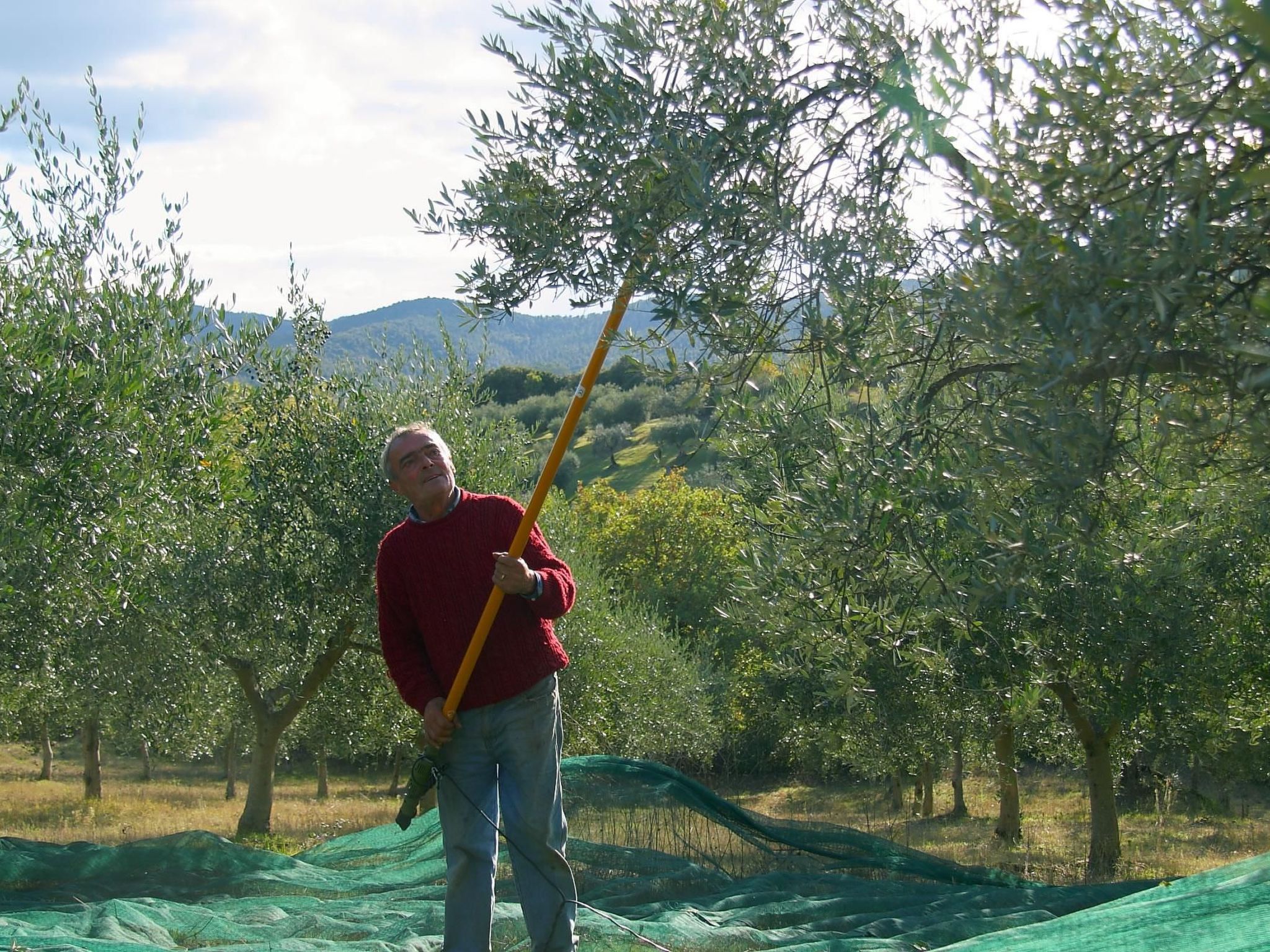 Studio mit Balkonblick ins bergige Grüne-Binnen