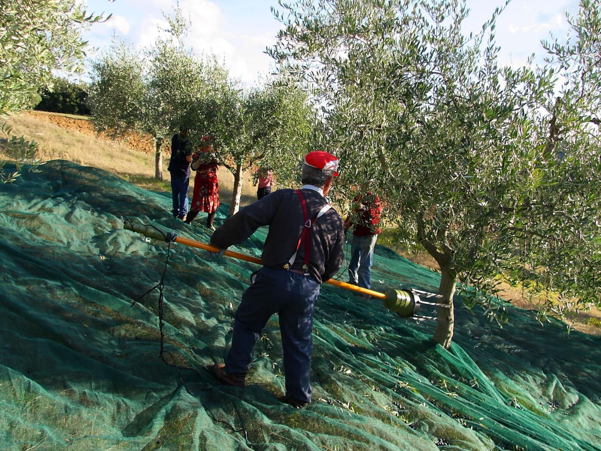 Studio mit Balkonblick ins bergige Grüne-Binnen