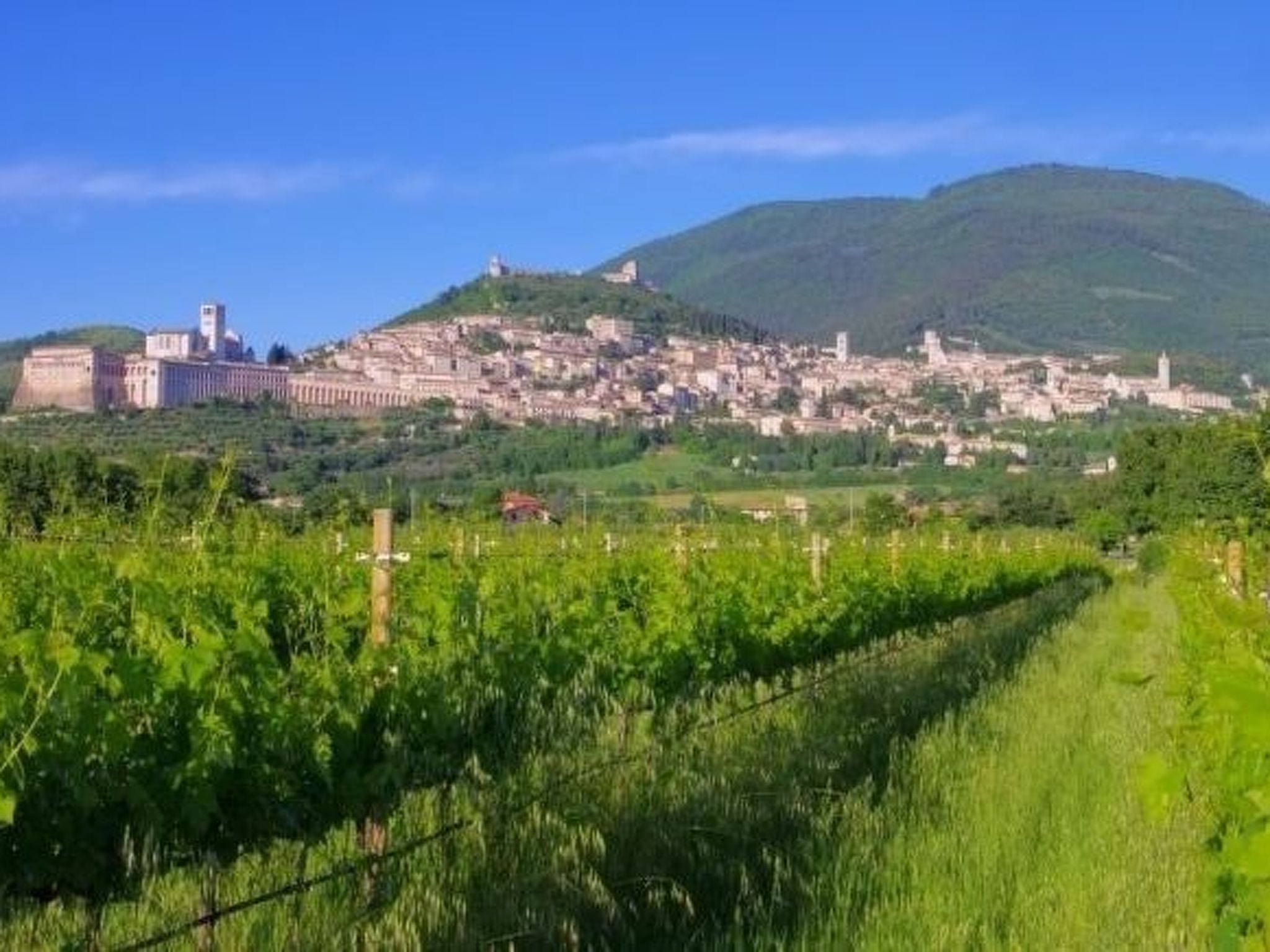 All Comfort Apartment, nur 4KM von Assisi entfernt - Buiten