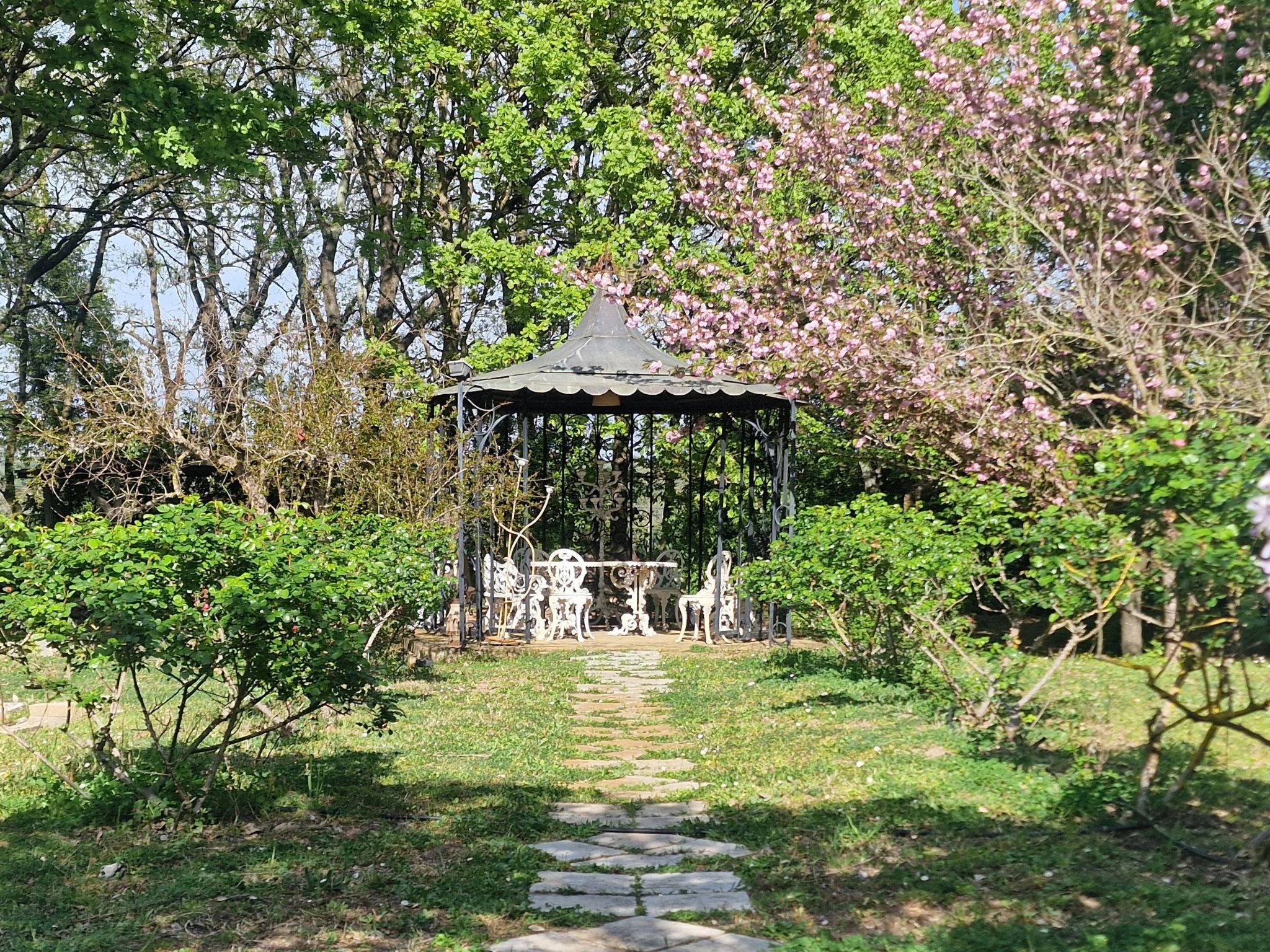 Luxury Villas near Rome - Buiten