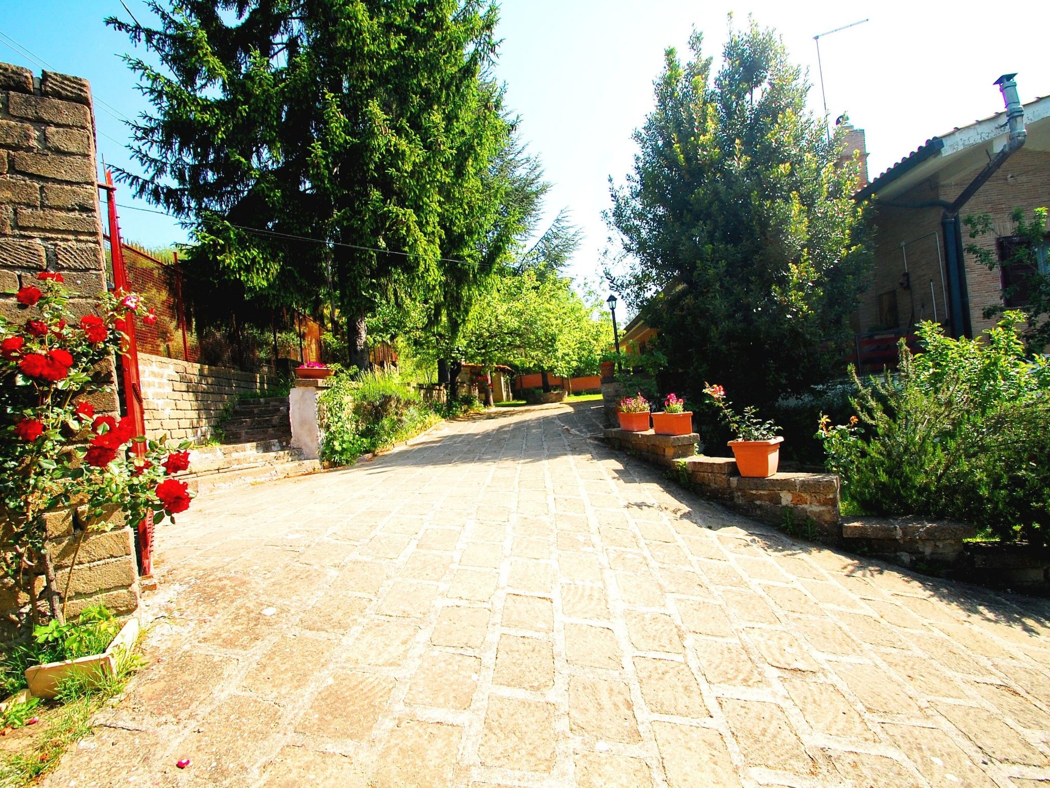 Villa 'Der Kirschbaum'-Binnen