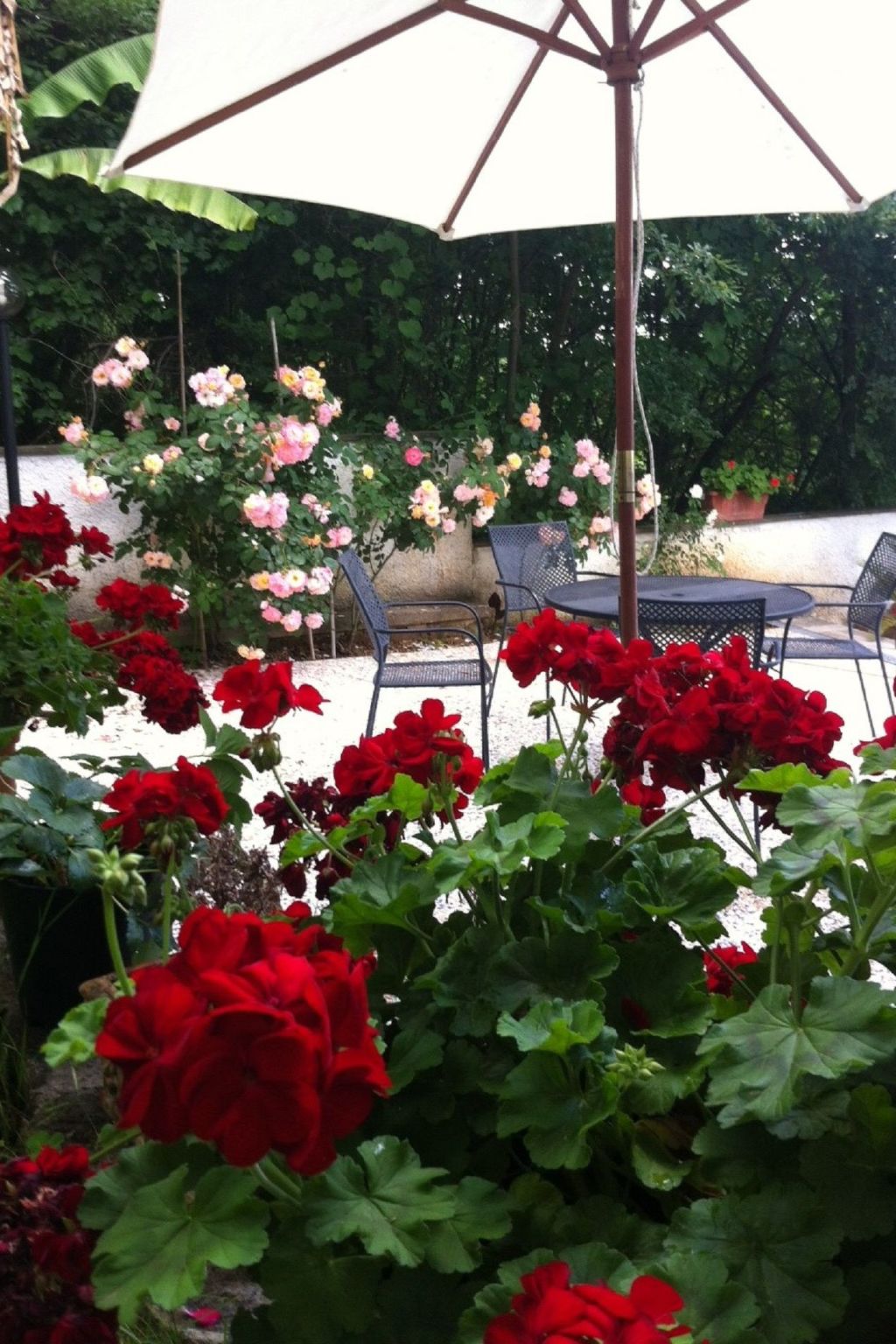 Villa 'Der Kirschbaum'-Binnen