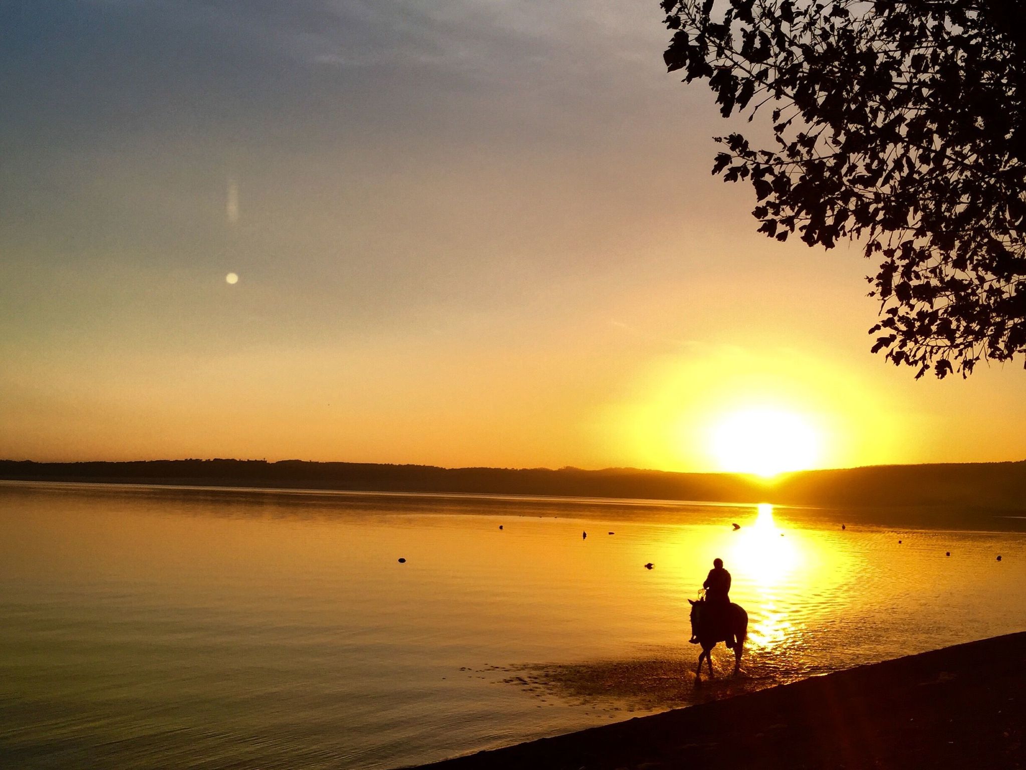 Ferienvilla mit Garten, Grill und Terrasse-Image-tags.info