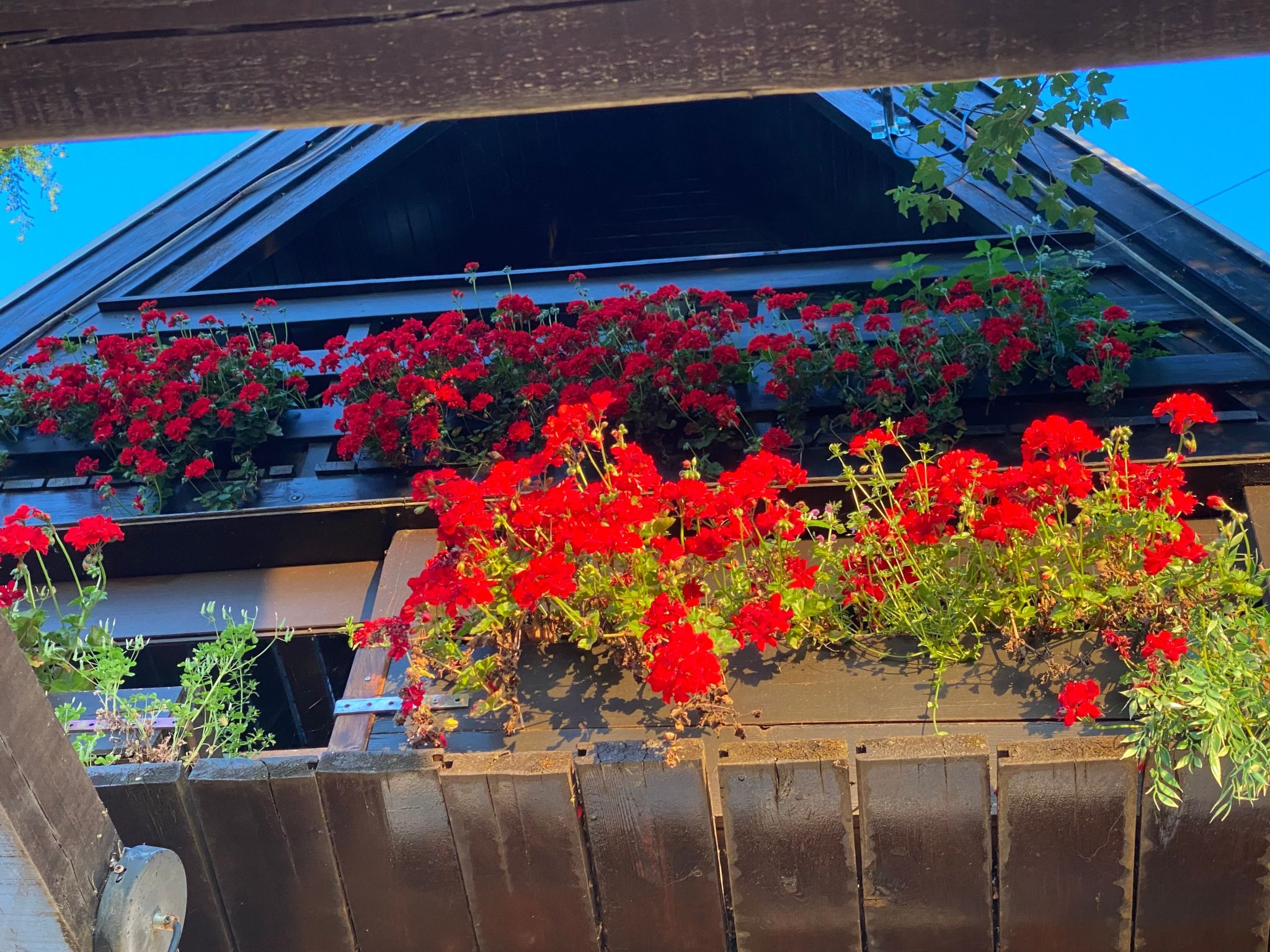 Ferienvilla mit Garten, Grill und Terrasse-Draußen