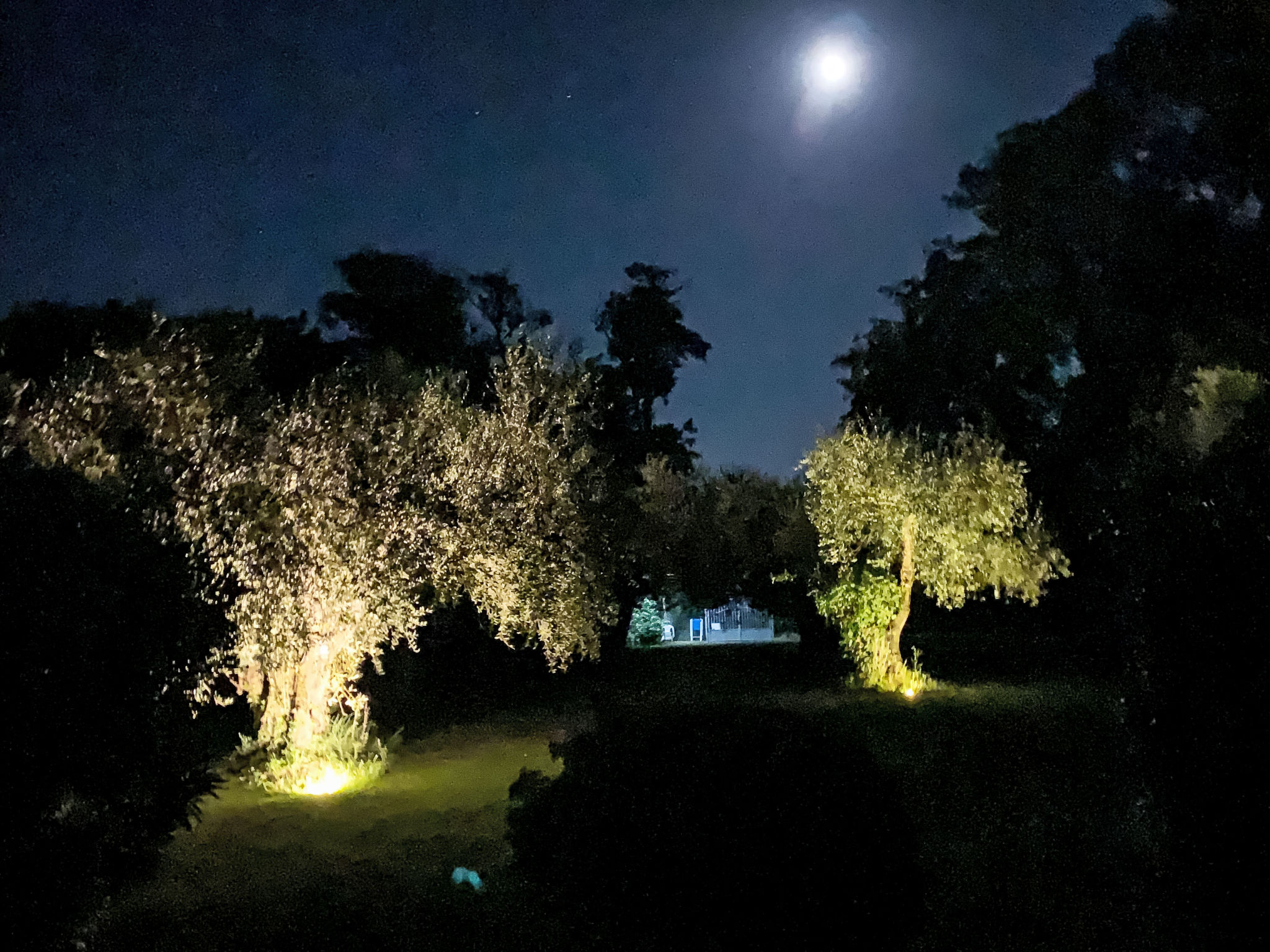 Mit Wasserblick - Dehors