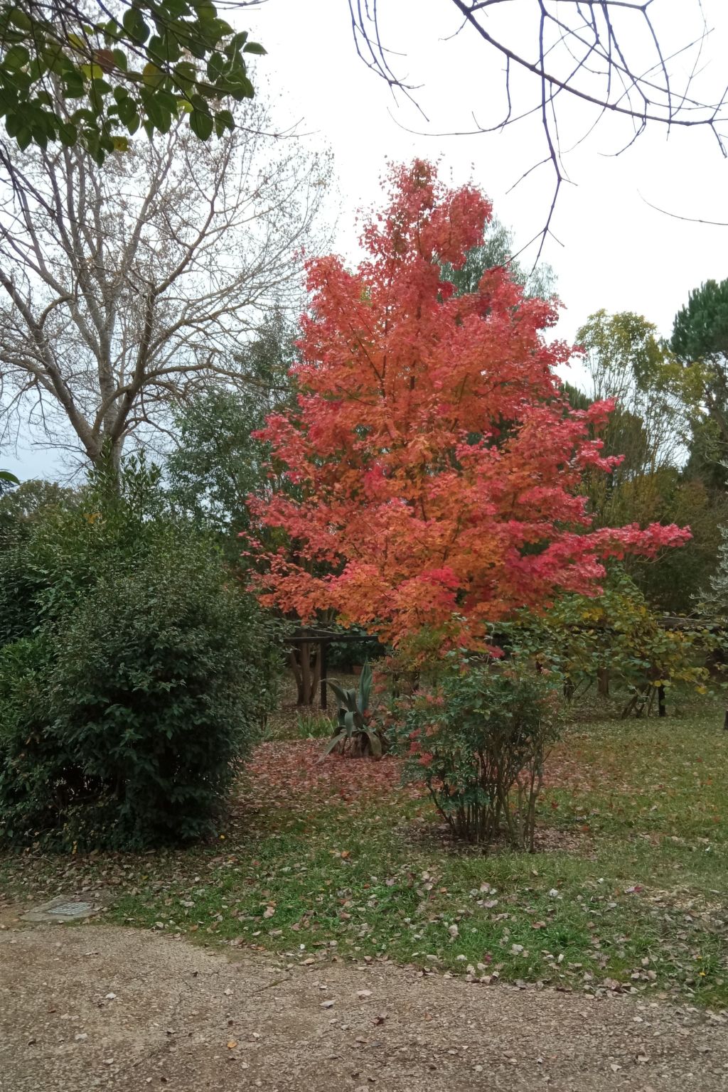 Villa 'Bei Rom' mit privatem Pool-Binnen