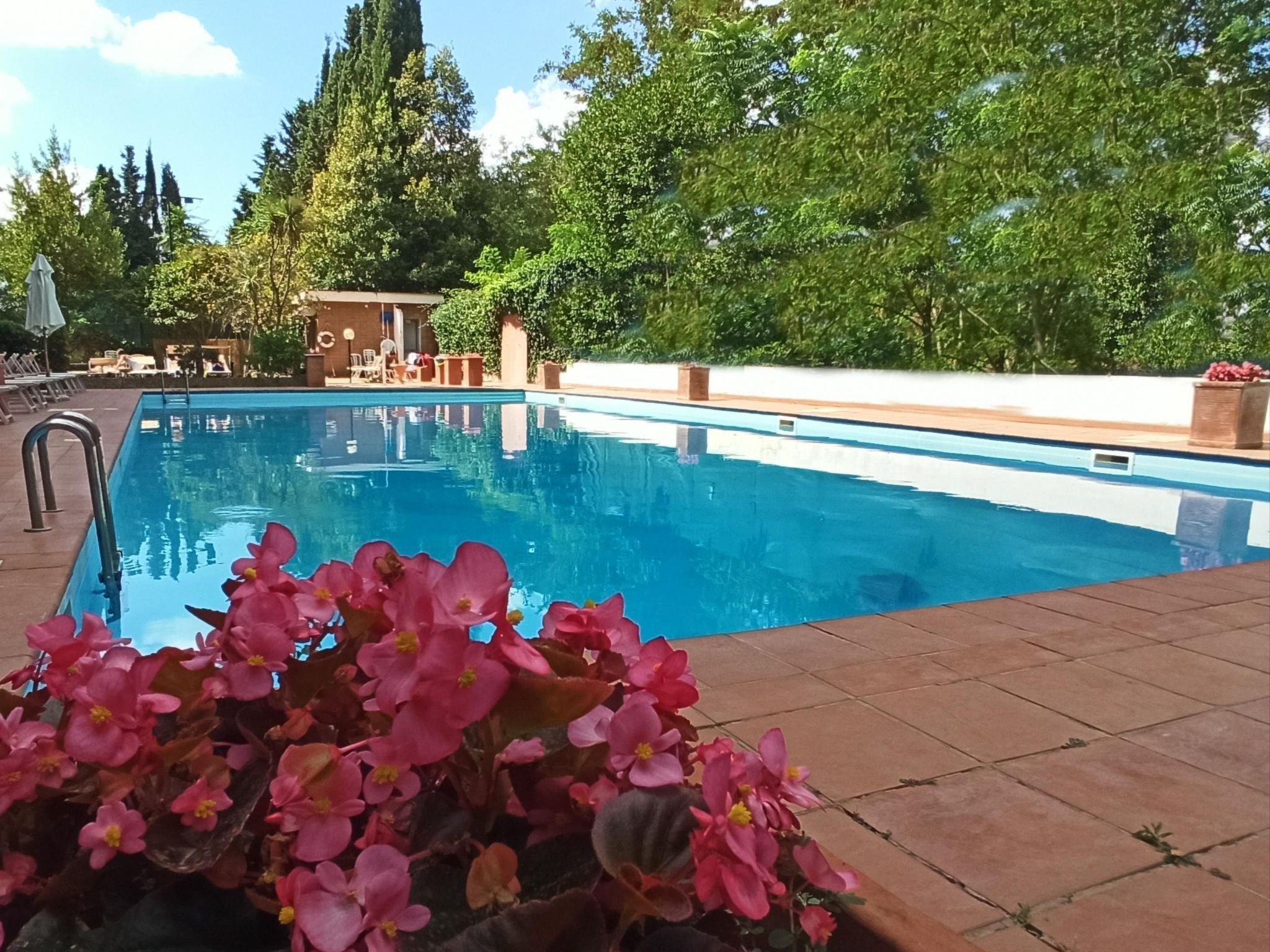 'Aurelia Antica Suite — Pool Outdoor (5 of 31)